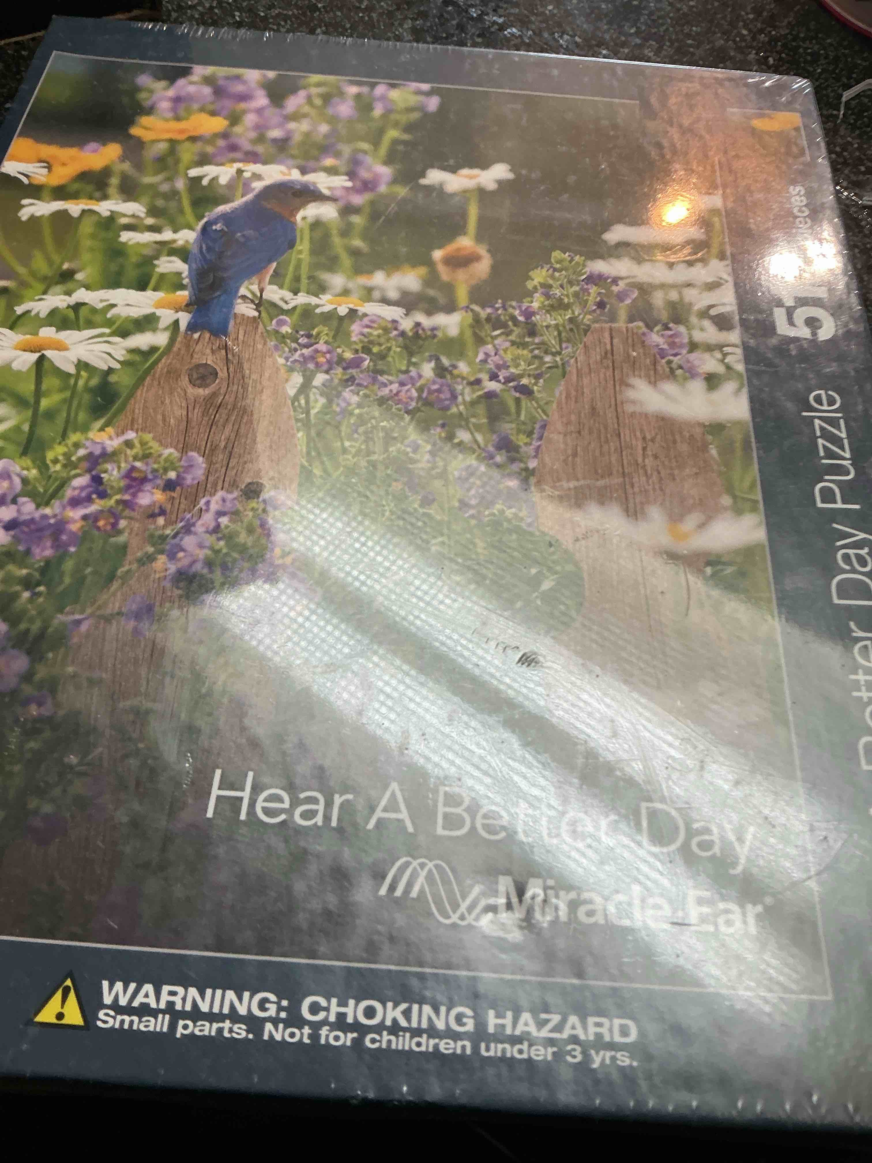 Hear A Better Day 513 Pieces