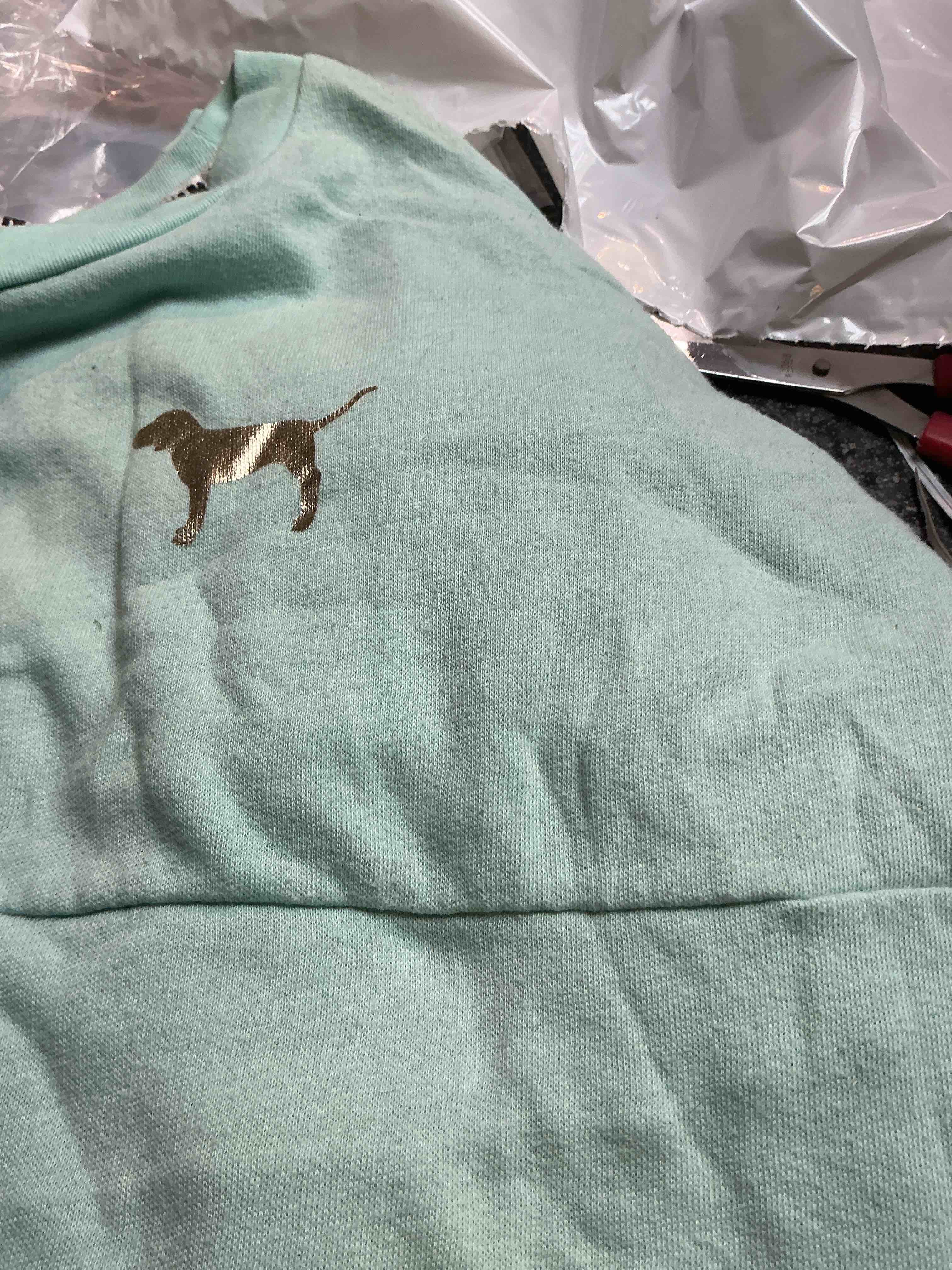 VS Pink Mint Green Sweat Shirt Size S 