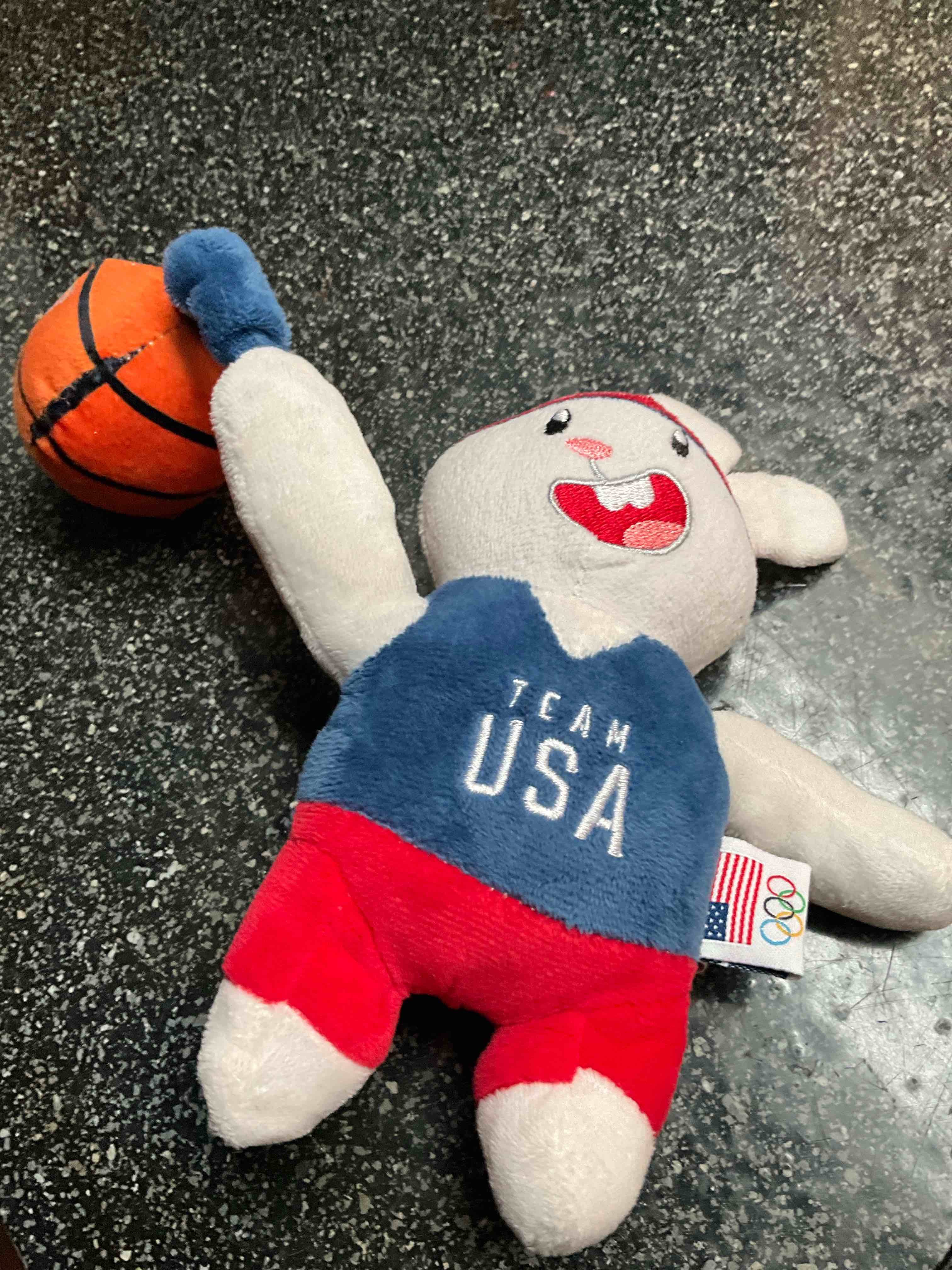 Team USA - Squeaky/Crinkle - Dog Toy 