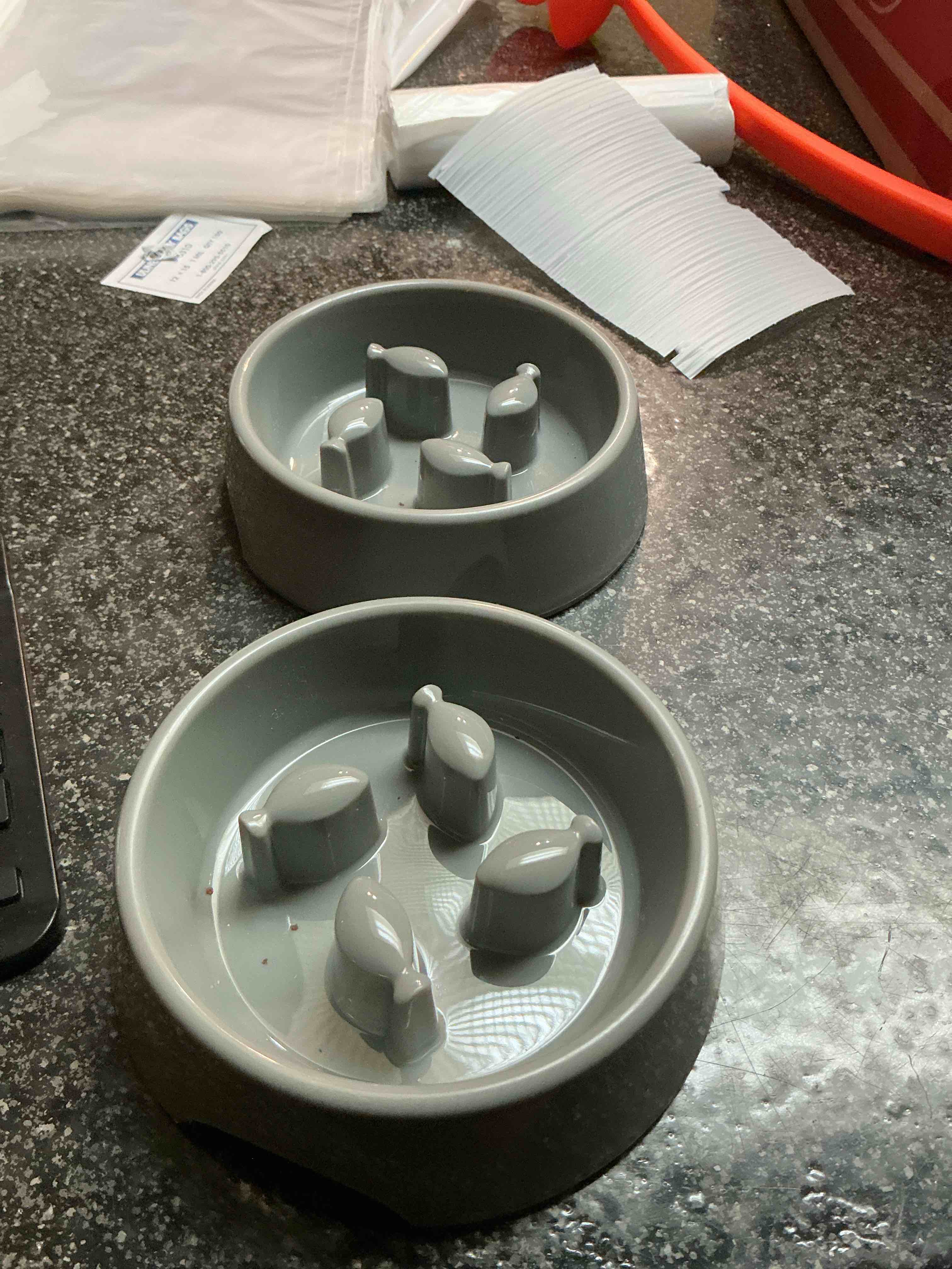 Cat & Dog Slow Feeder  Food Bowls 