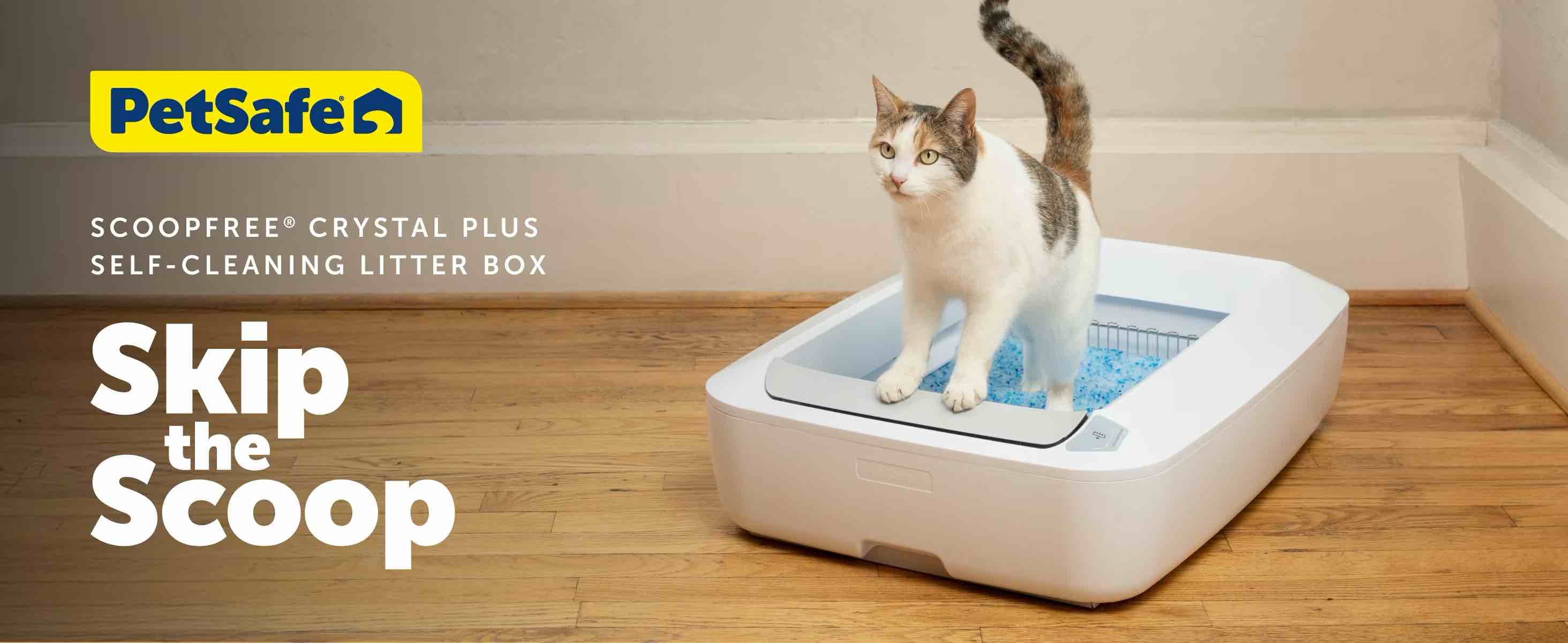 Don’t Hesitate - It Could Be To Late