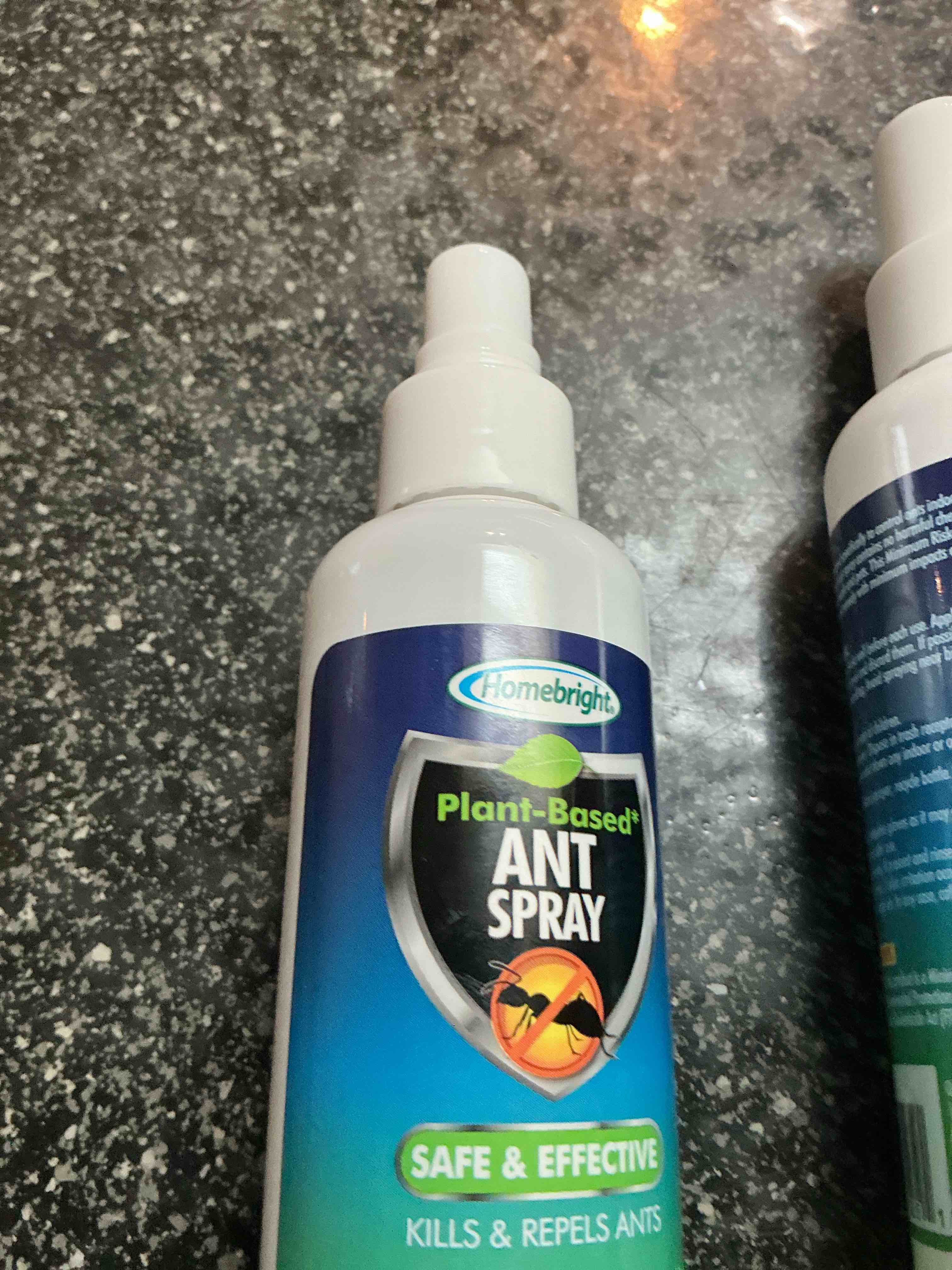 Homebright Ant Spray