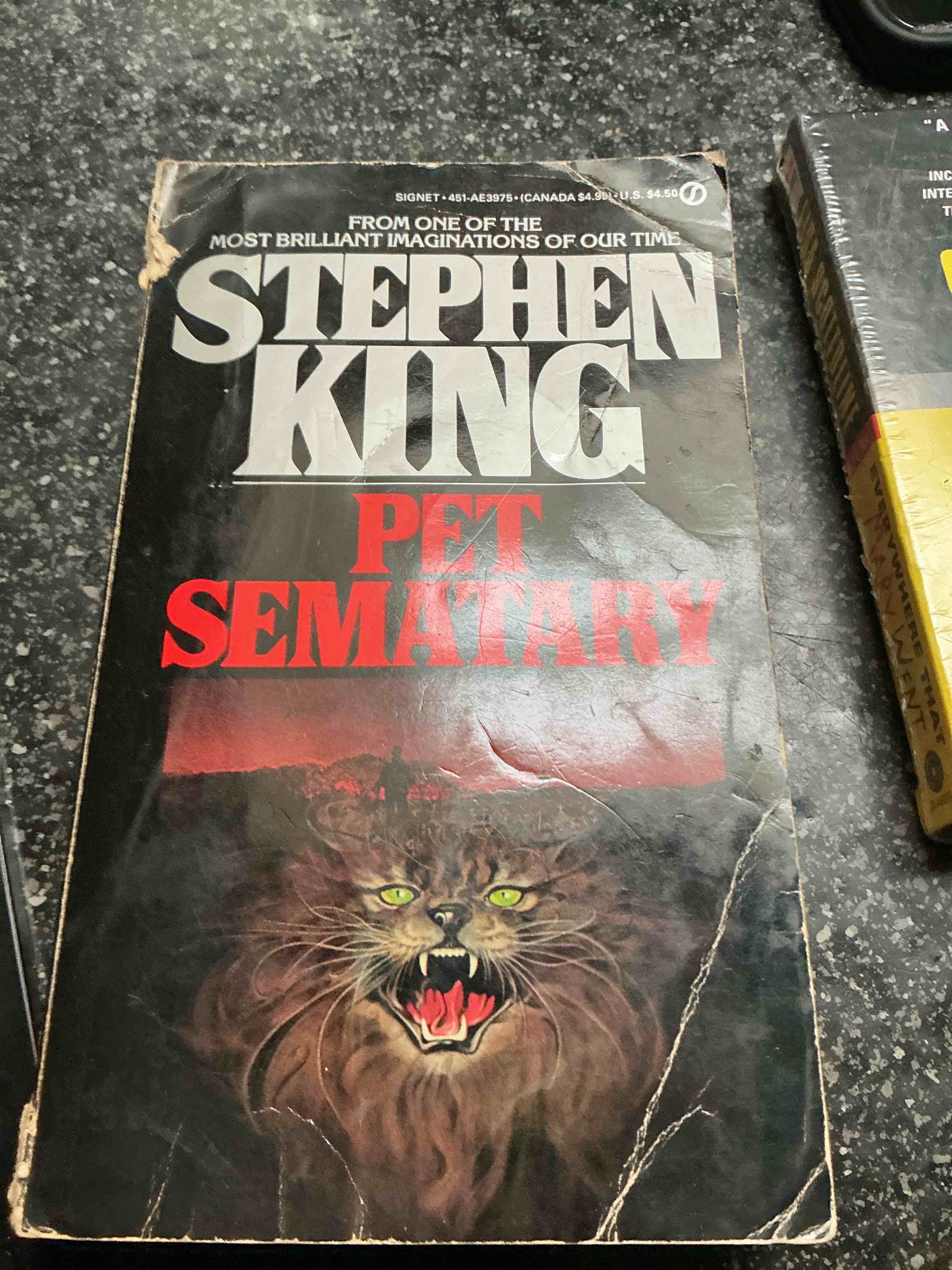 Stephen King Pet Sematary