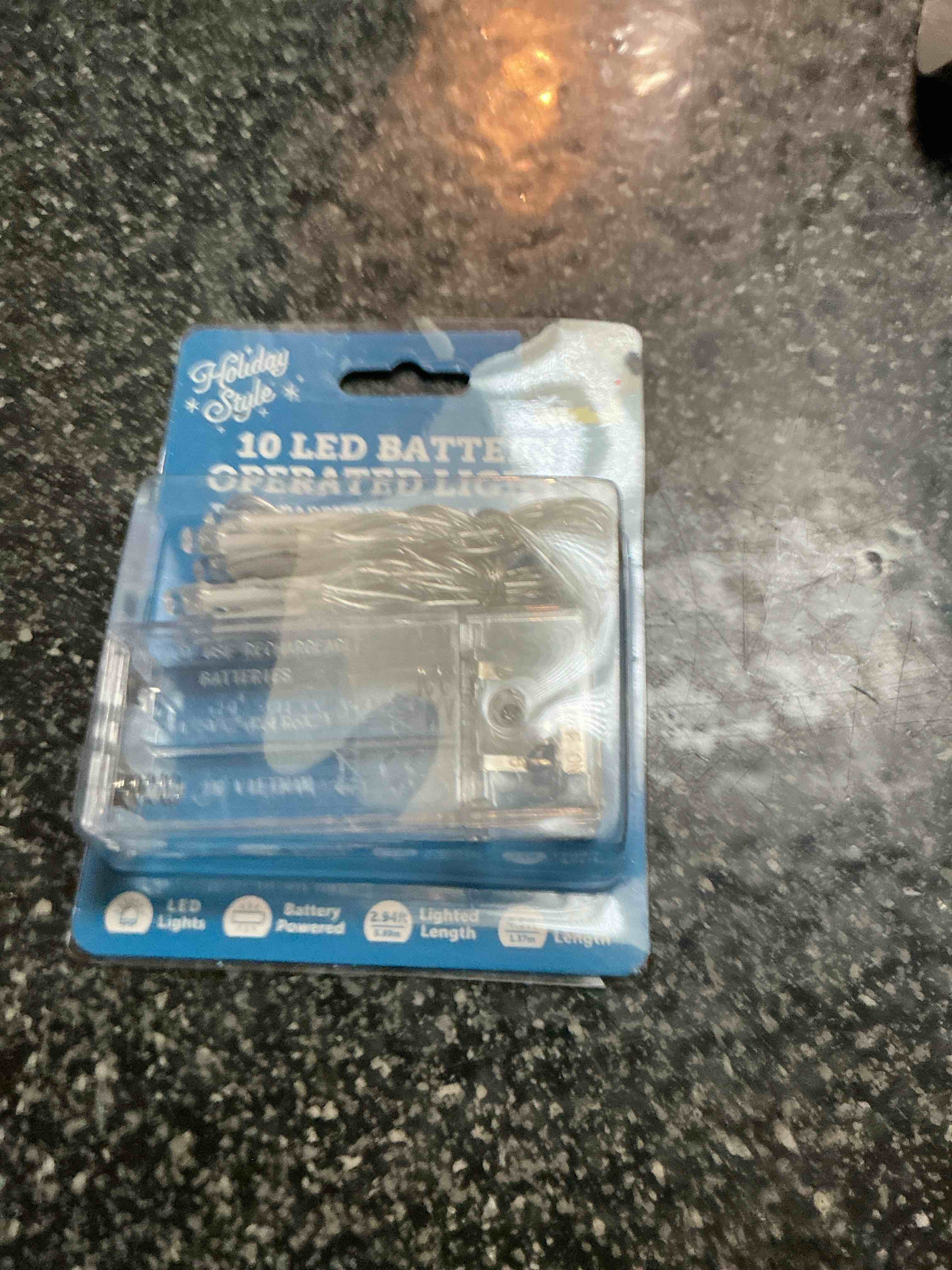 Holiday Style 10 LED Battery Operated Lights 