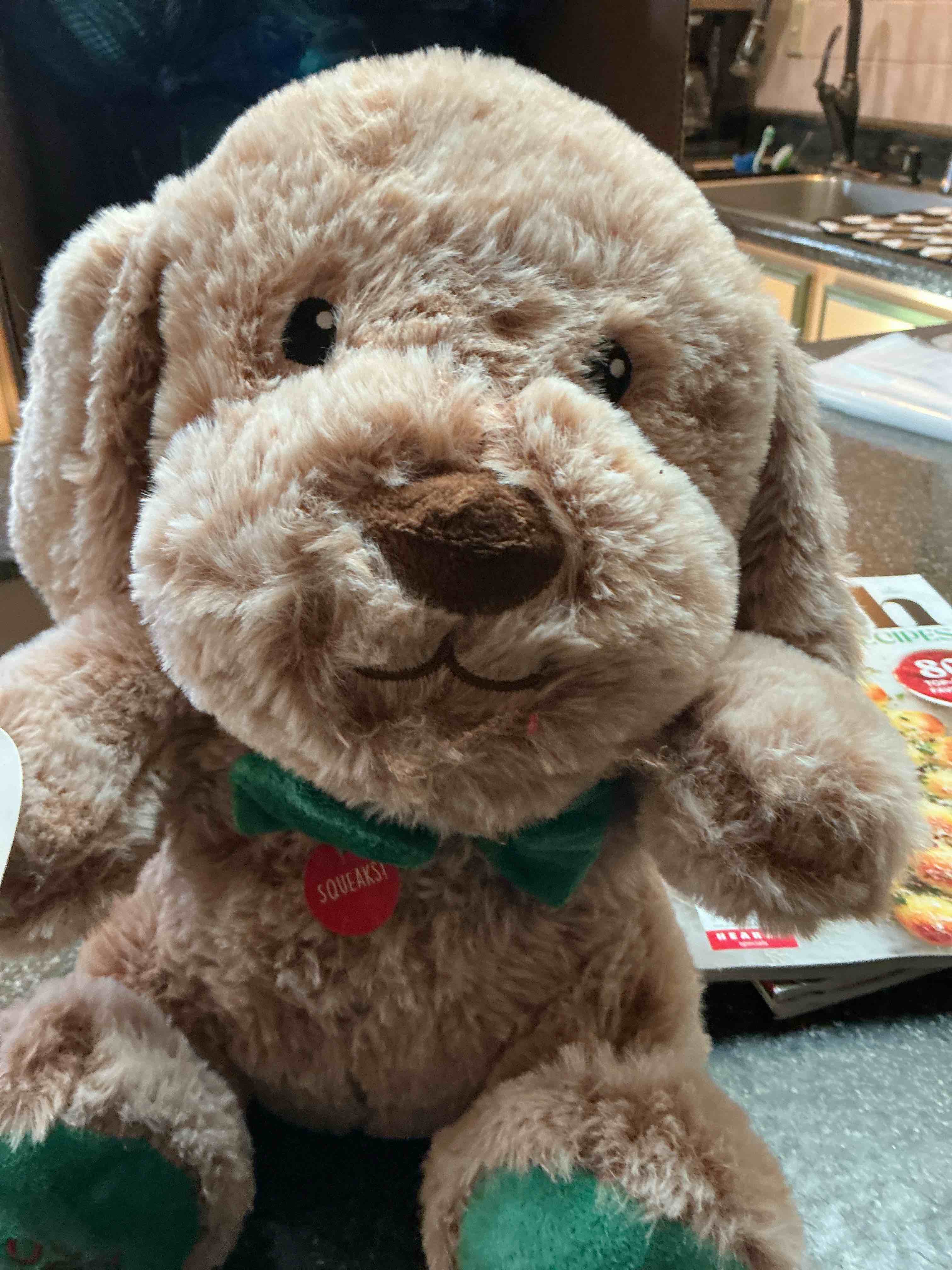 Pet Smart Celebrating 30 Years Of Good I Squeak