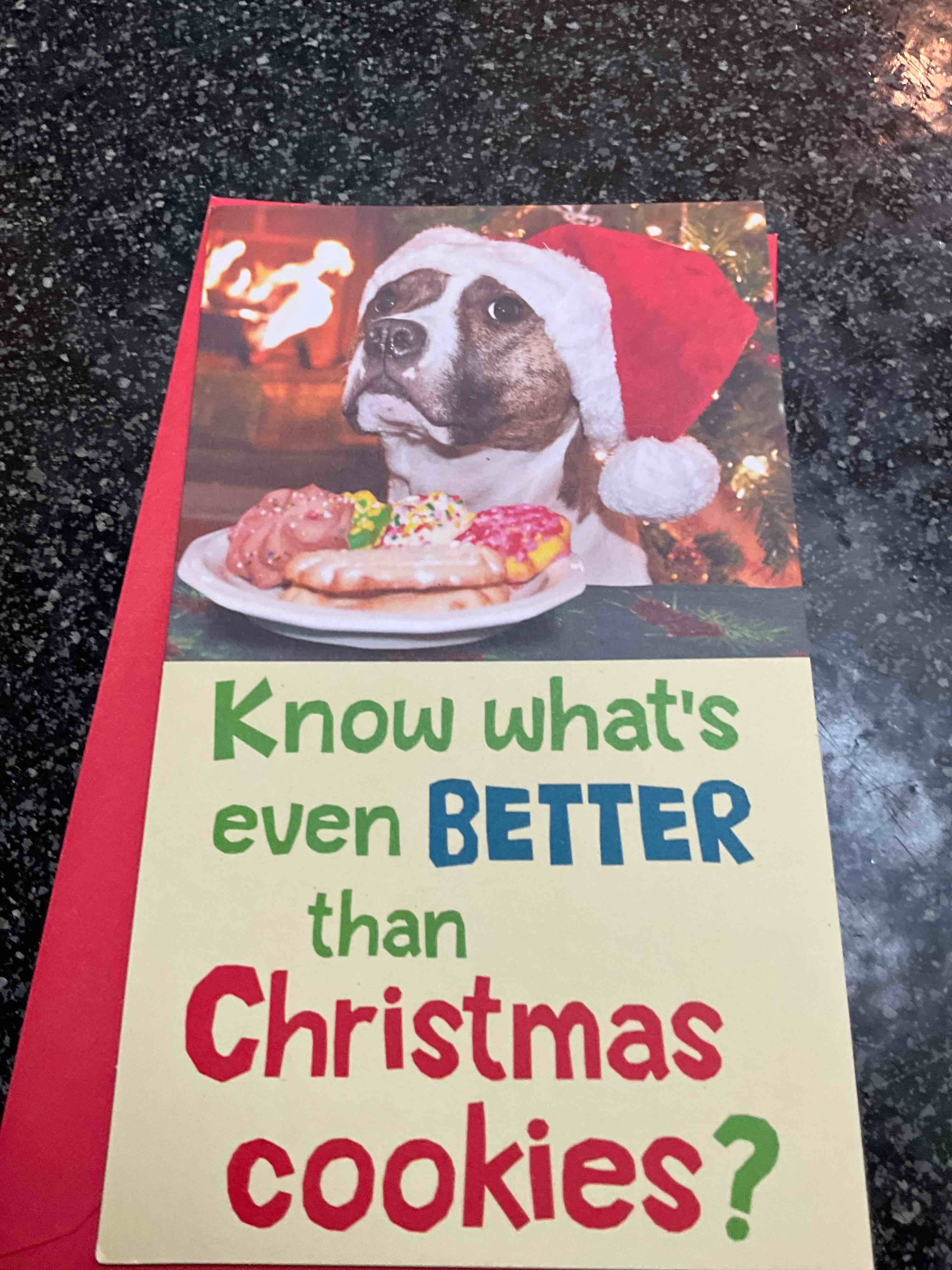 Holiday Style - Christmas Card - Gift Card/Money Holder