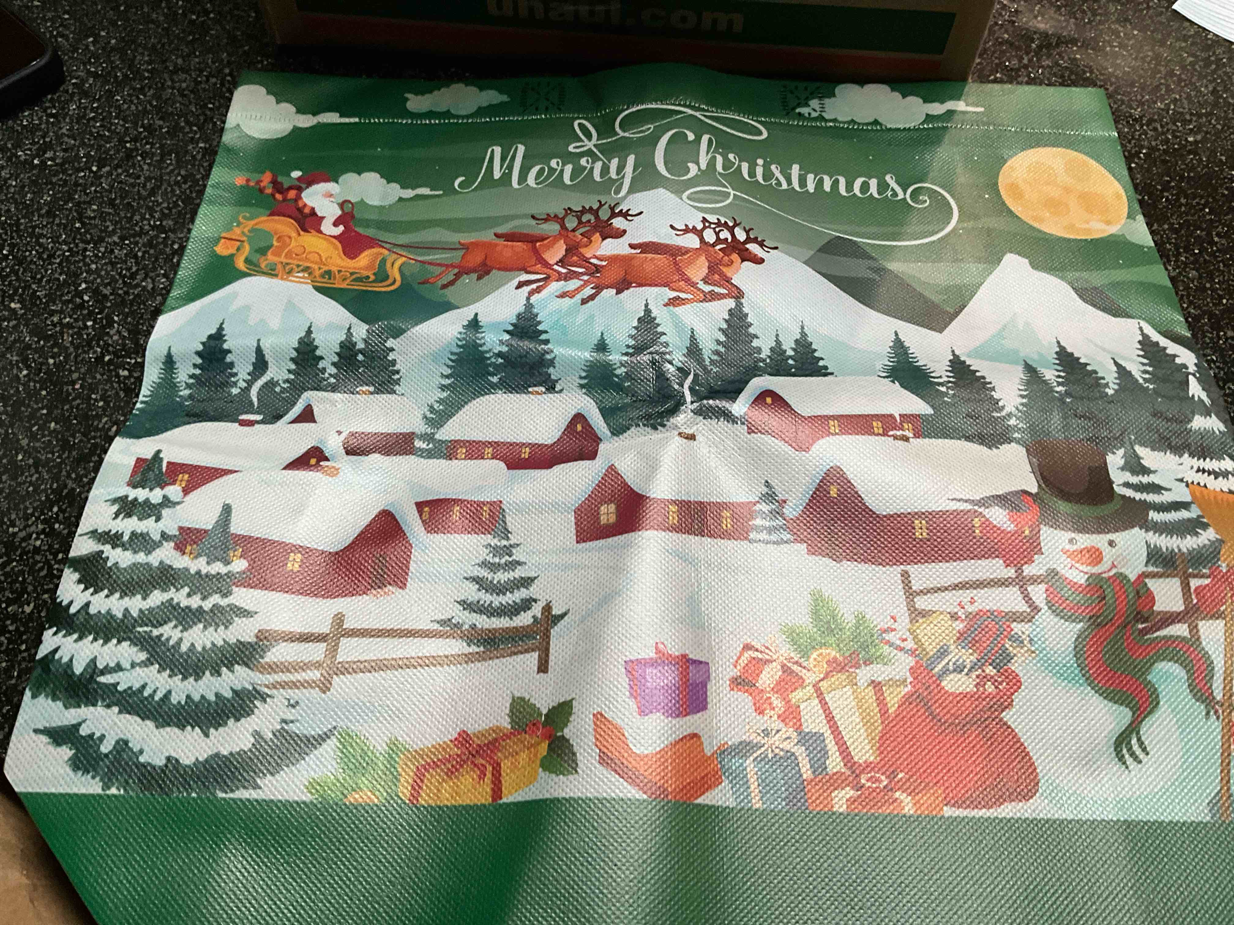 Large - Plastic - Christmas Bag
