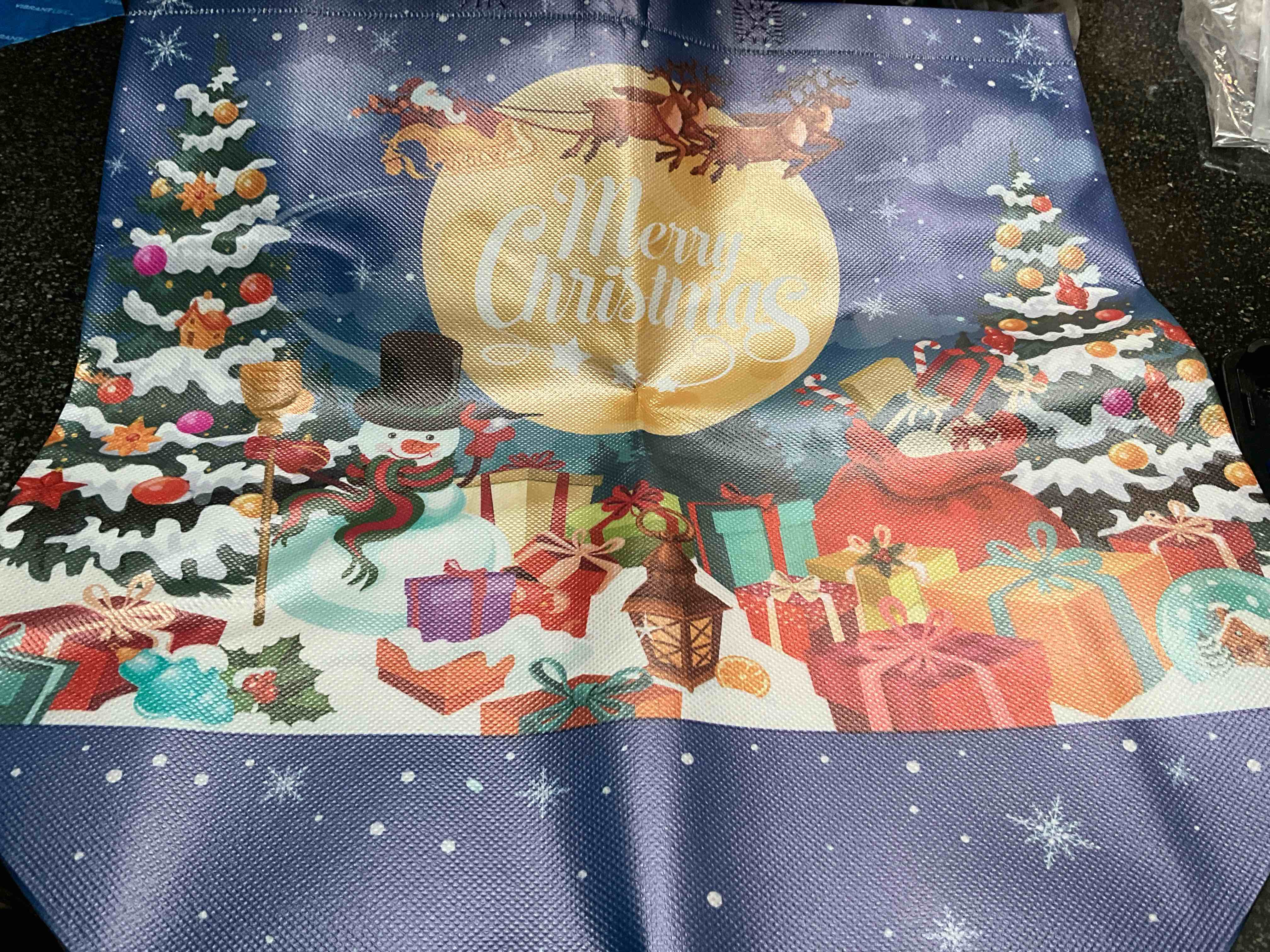Large - Plastic - Christmas Bag