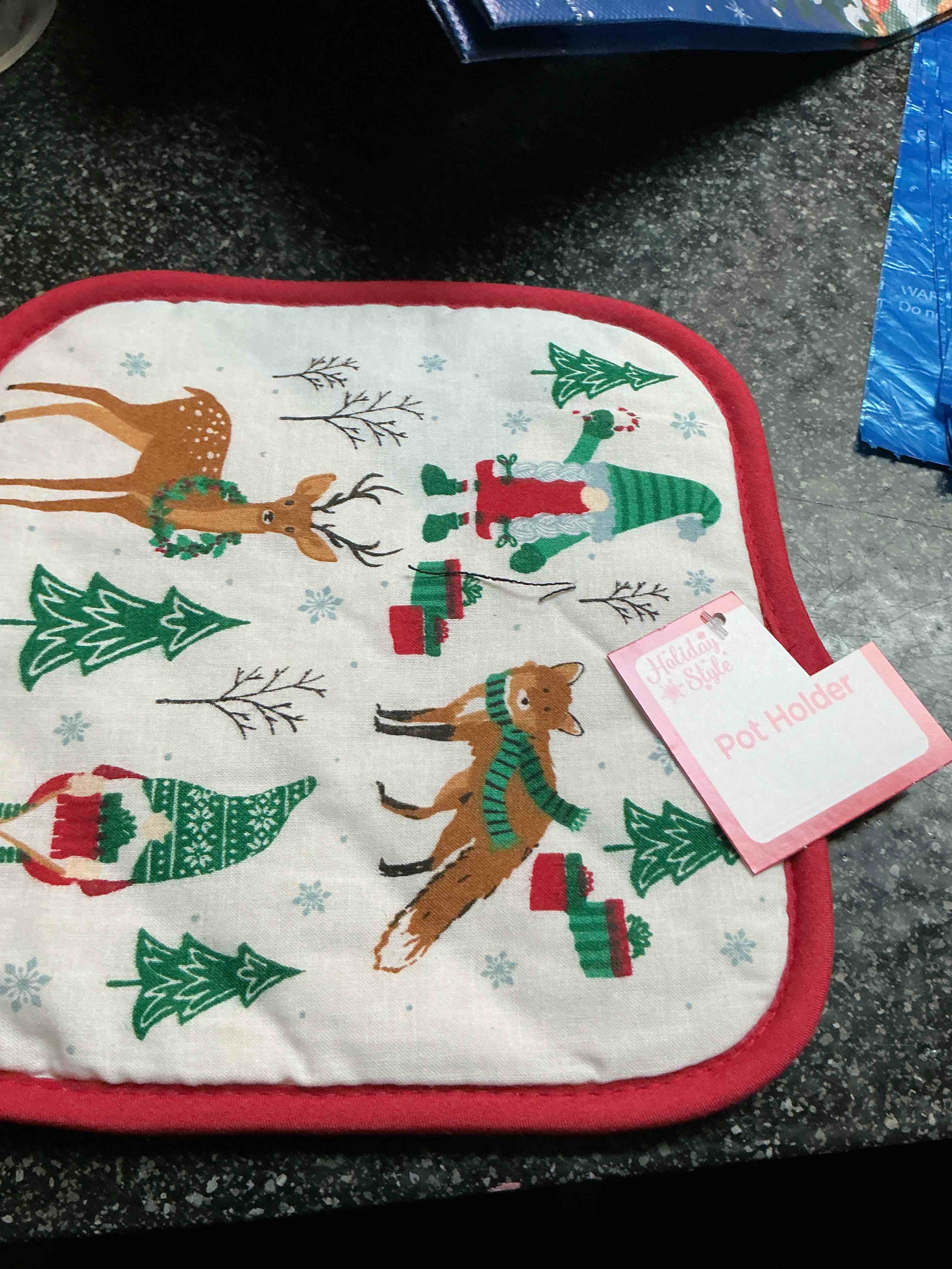 Holiday Style Pot Holder 