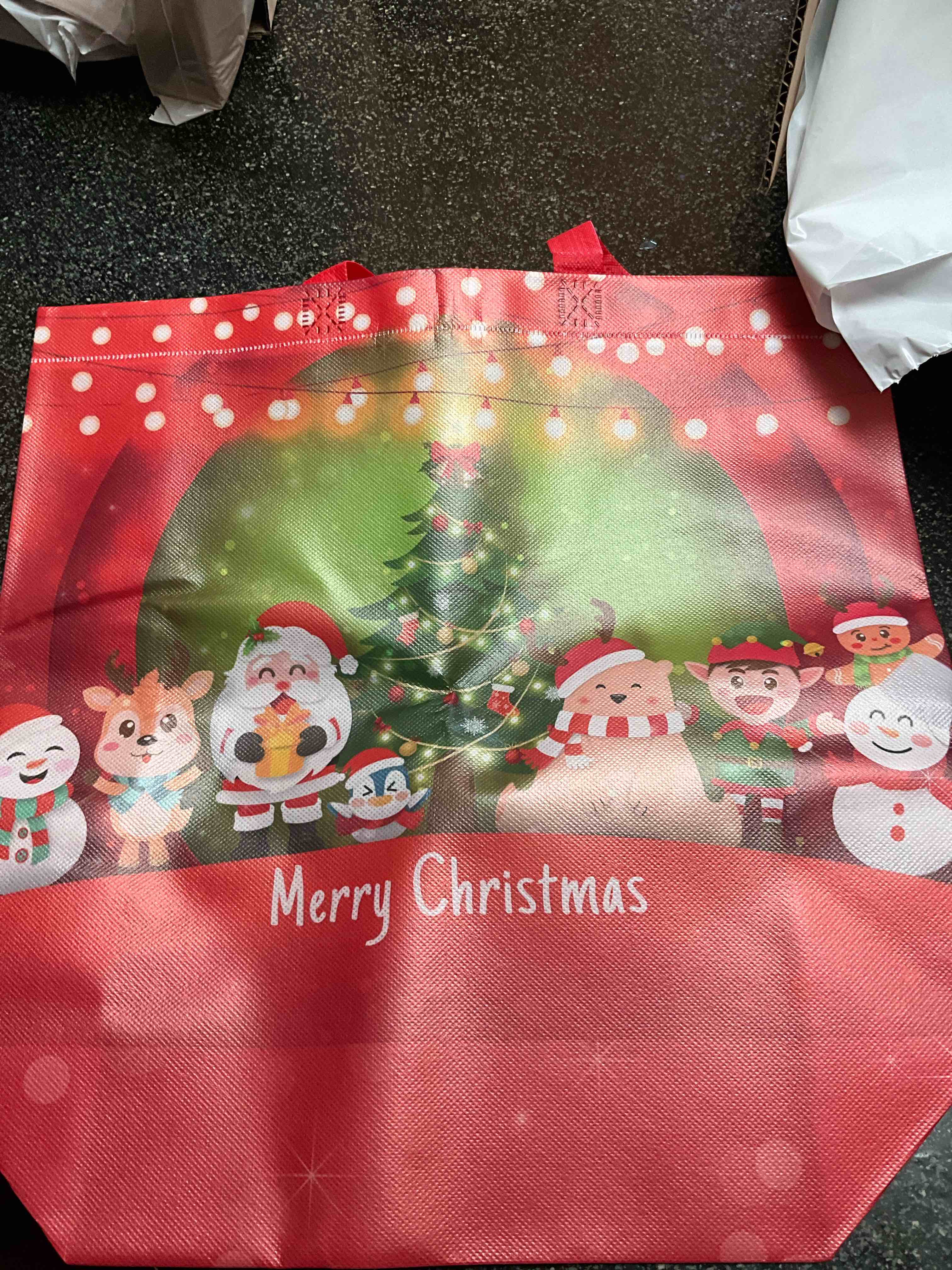 Large/Strong - Christmas Gift Bag 