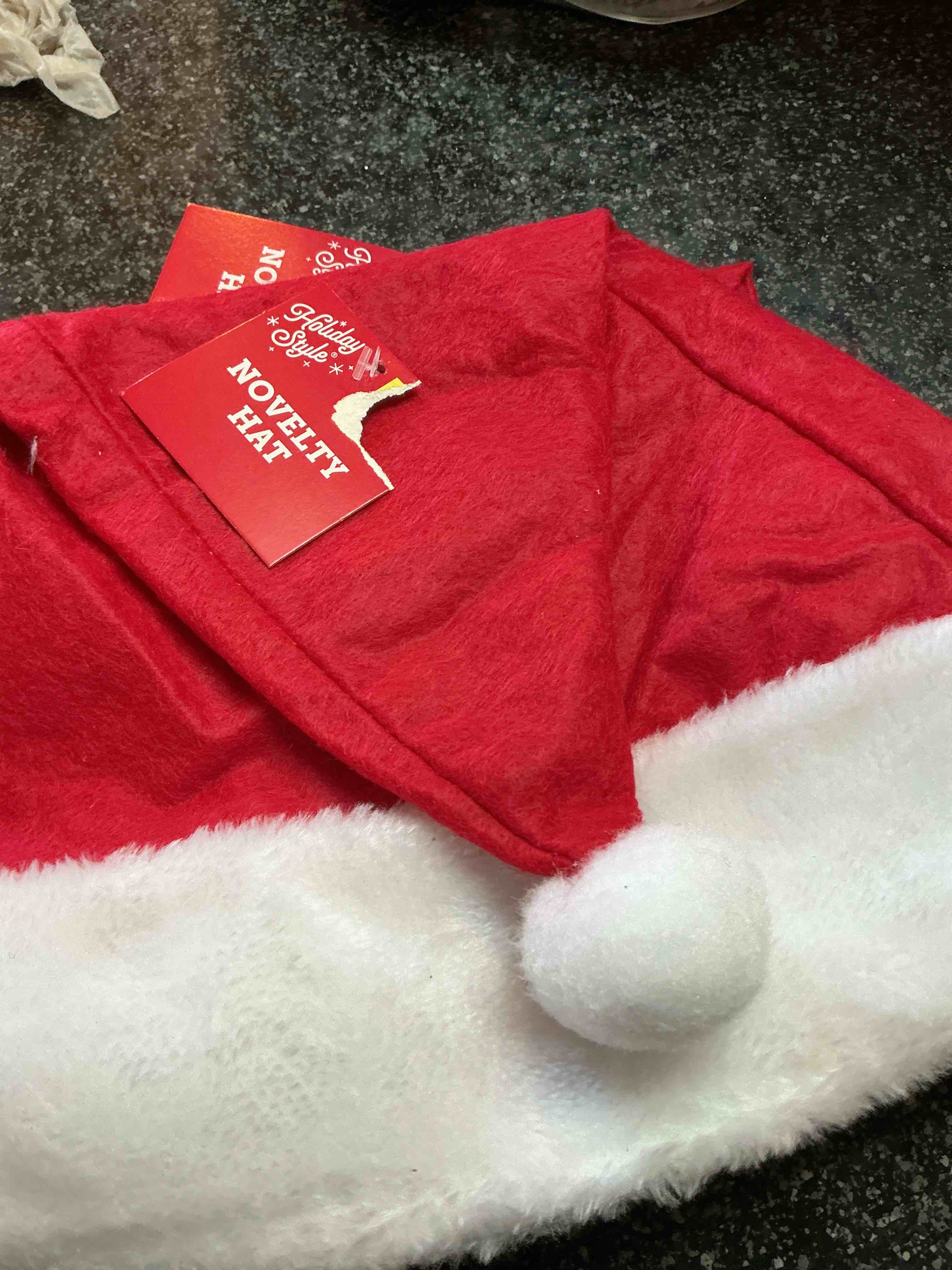 Holiday Style Novelty Hat 