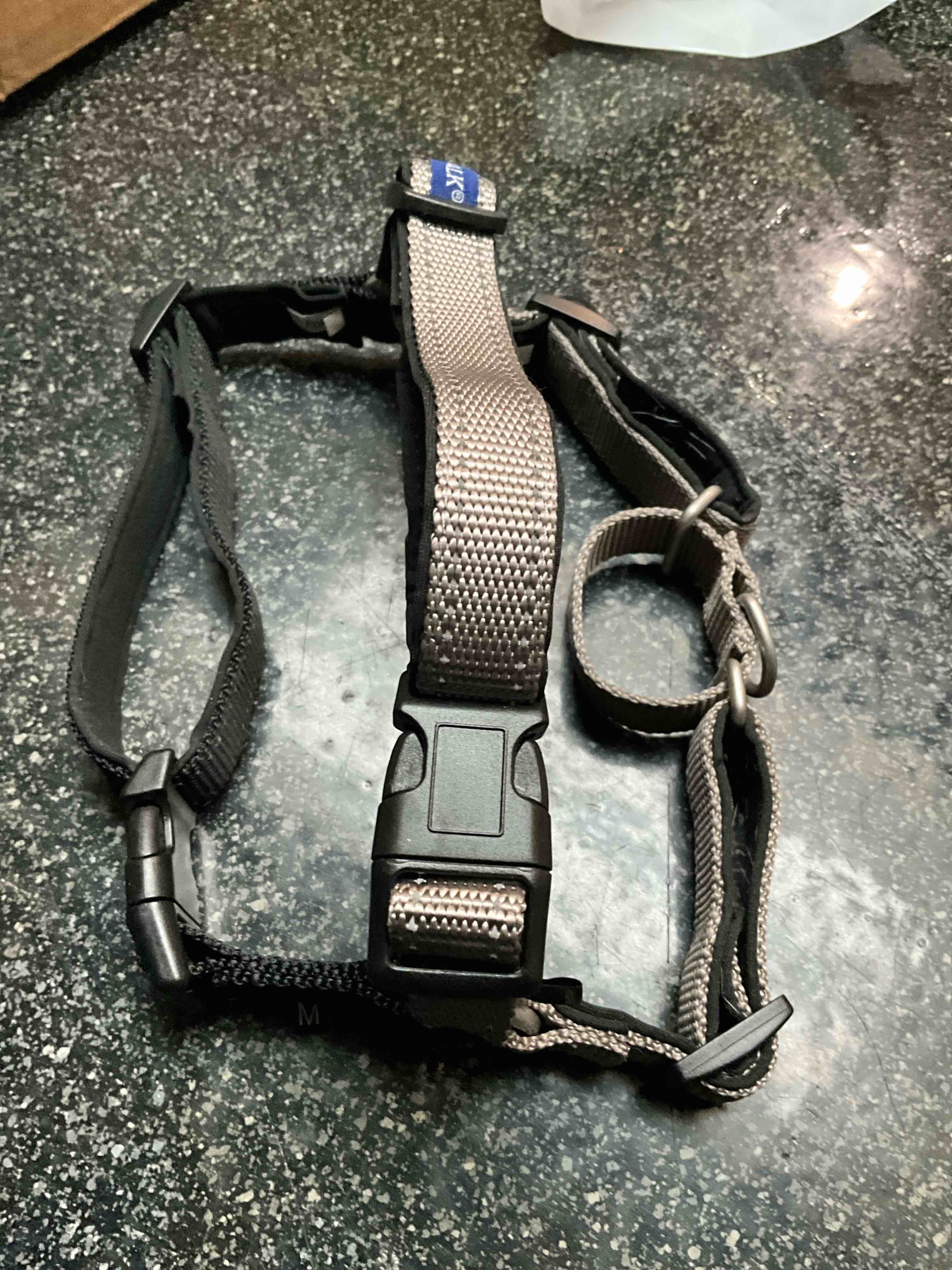 Pet Safe - black/grey - Harness - size - M
