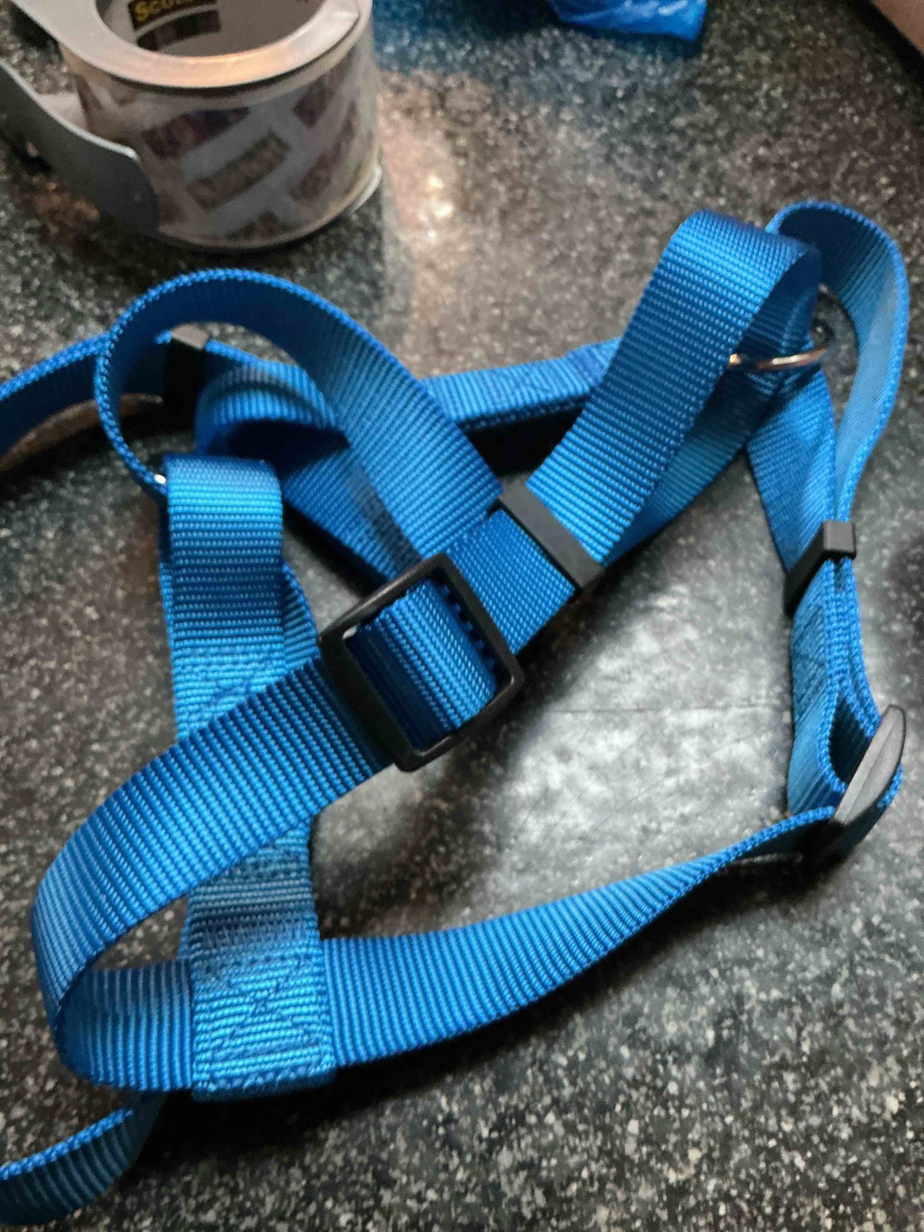 Top Paw - Blue Harness Size XL