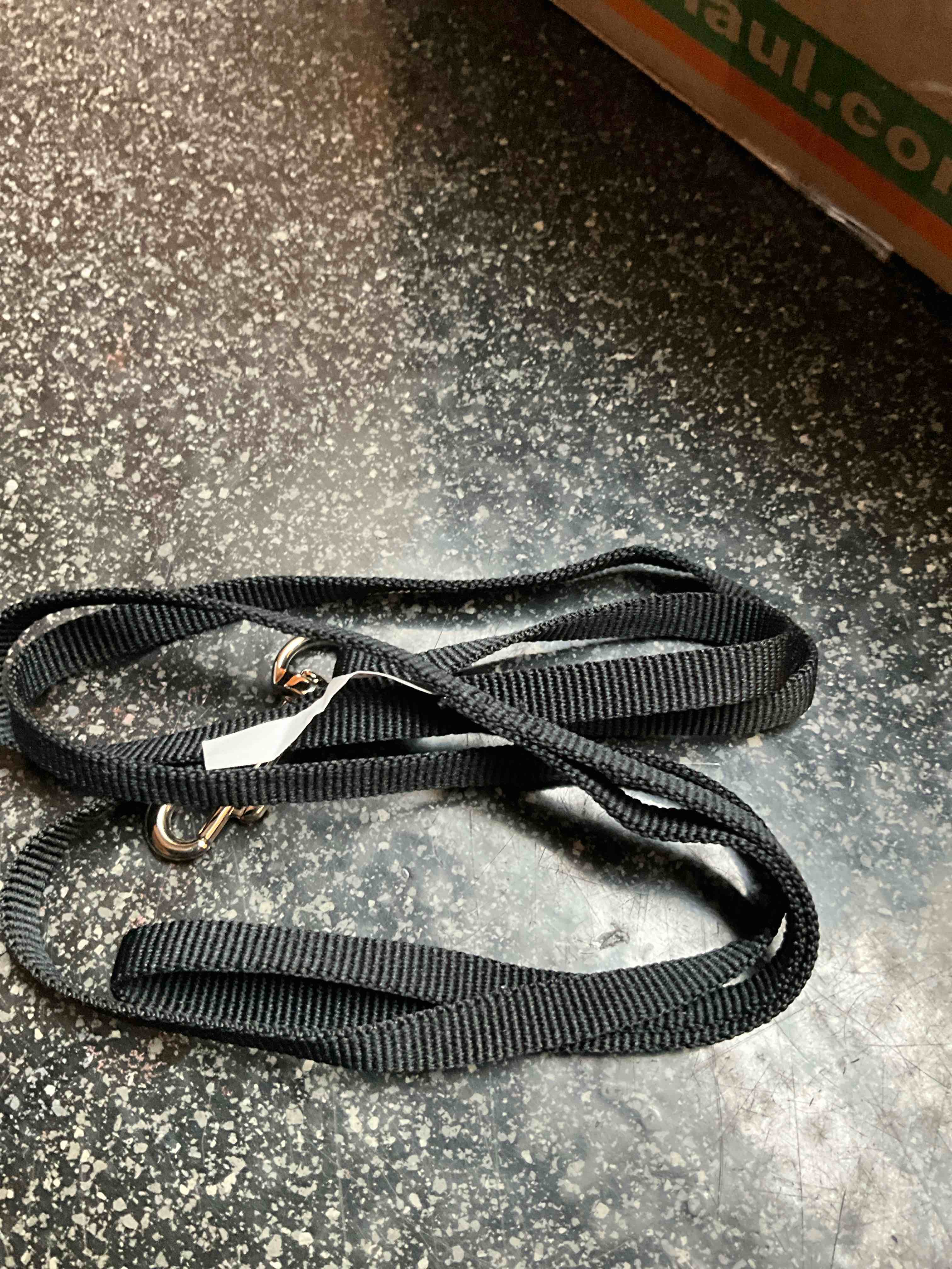 Vibrant Life - Pet Leash - Black