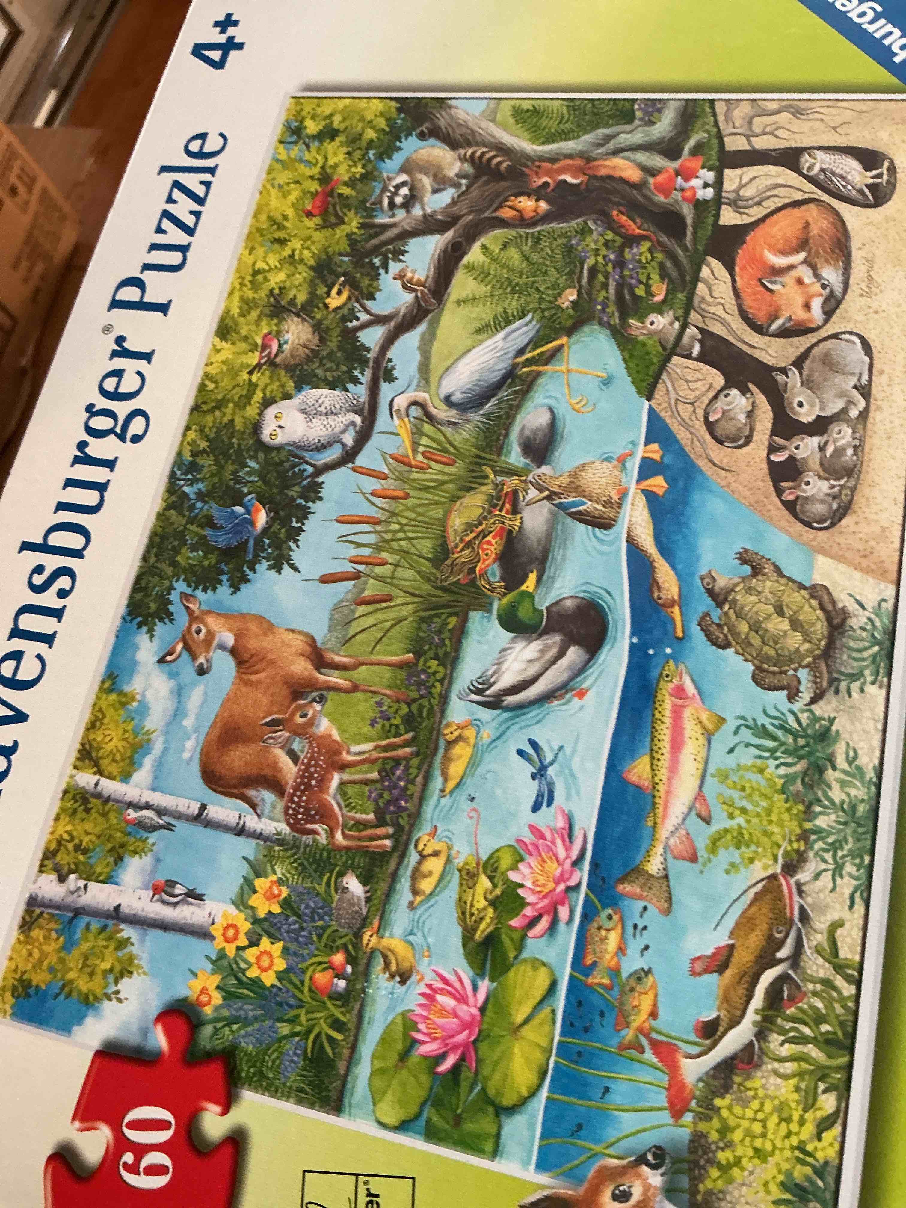 Ravensburger 60 Pieces Puzzle