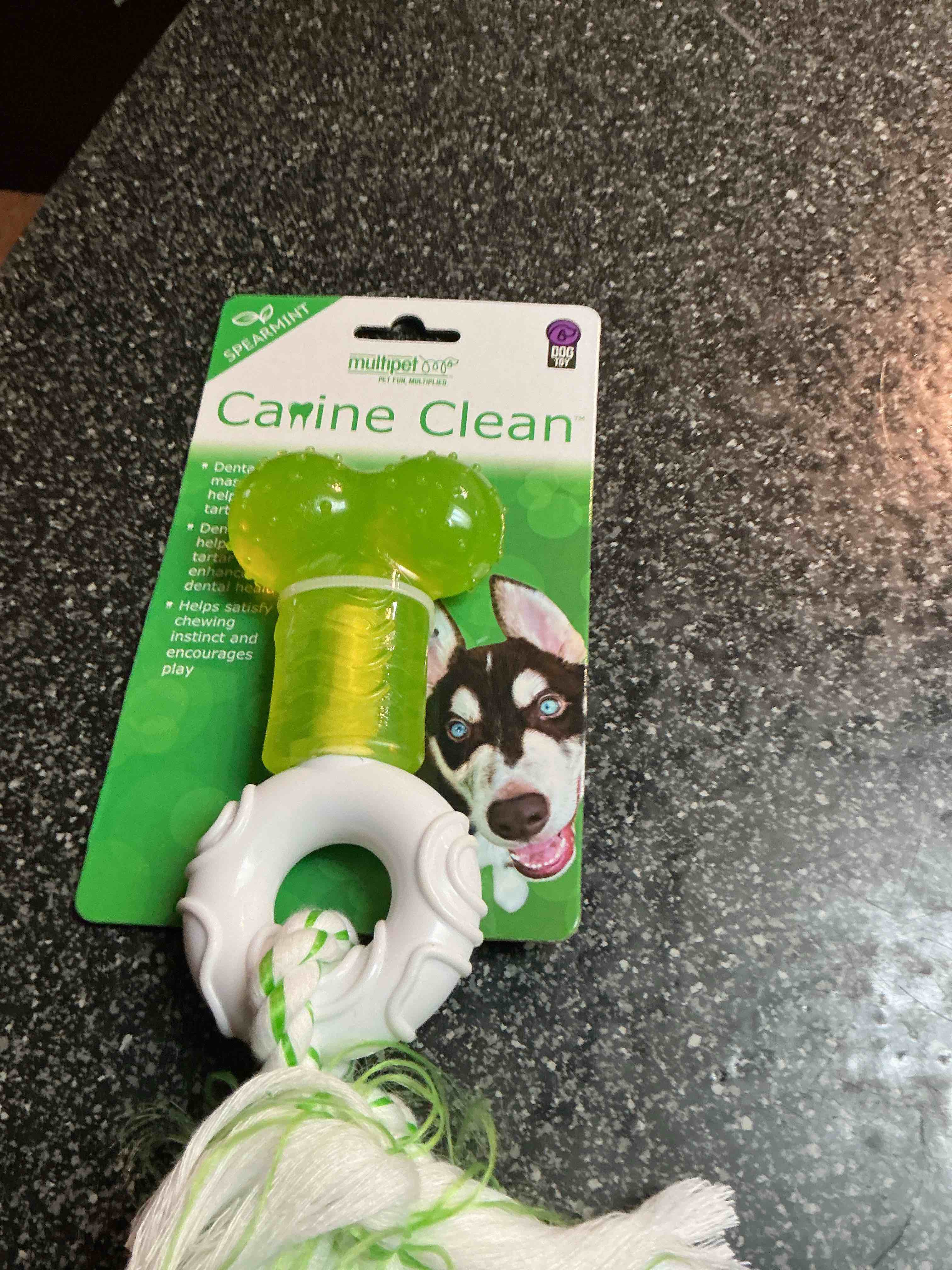 Canine Clean Spearmint Flavor