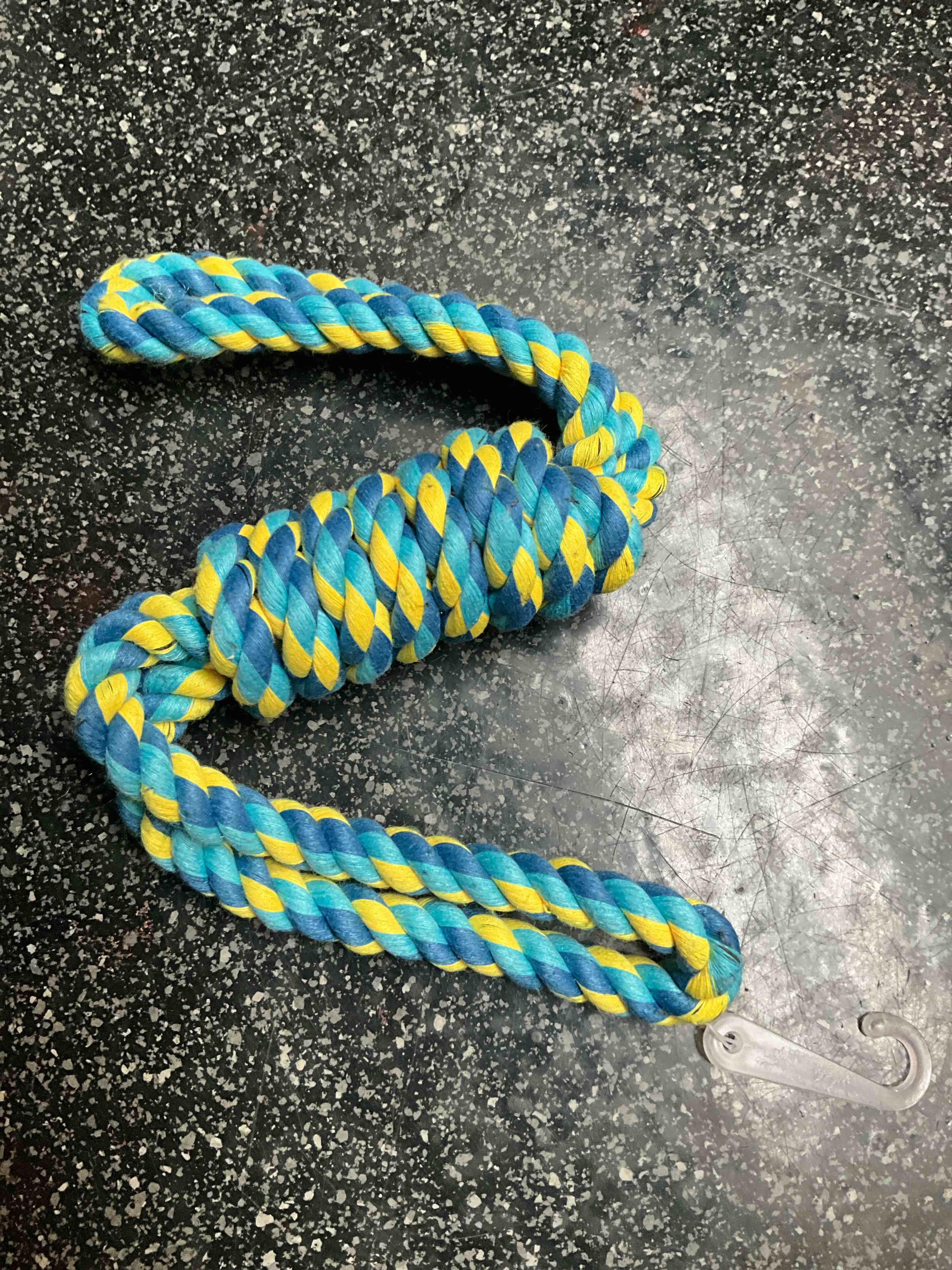 Dog - Knotted Rope Toy 