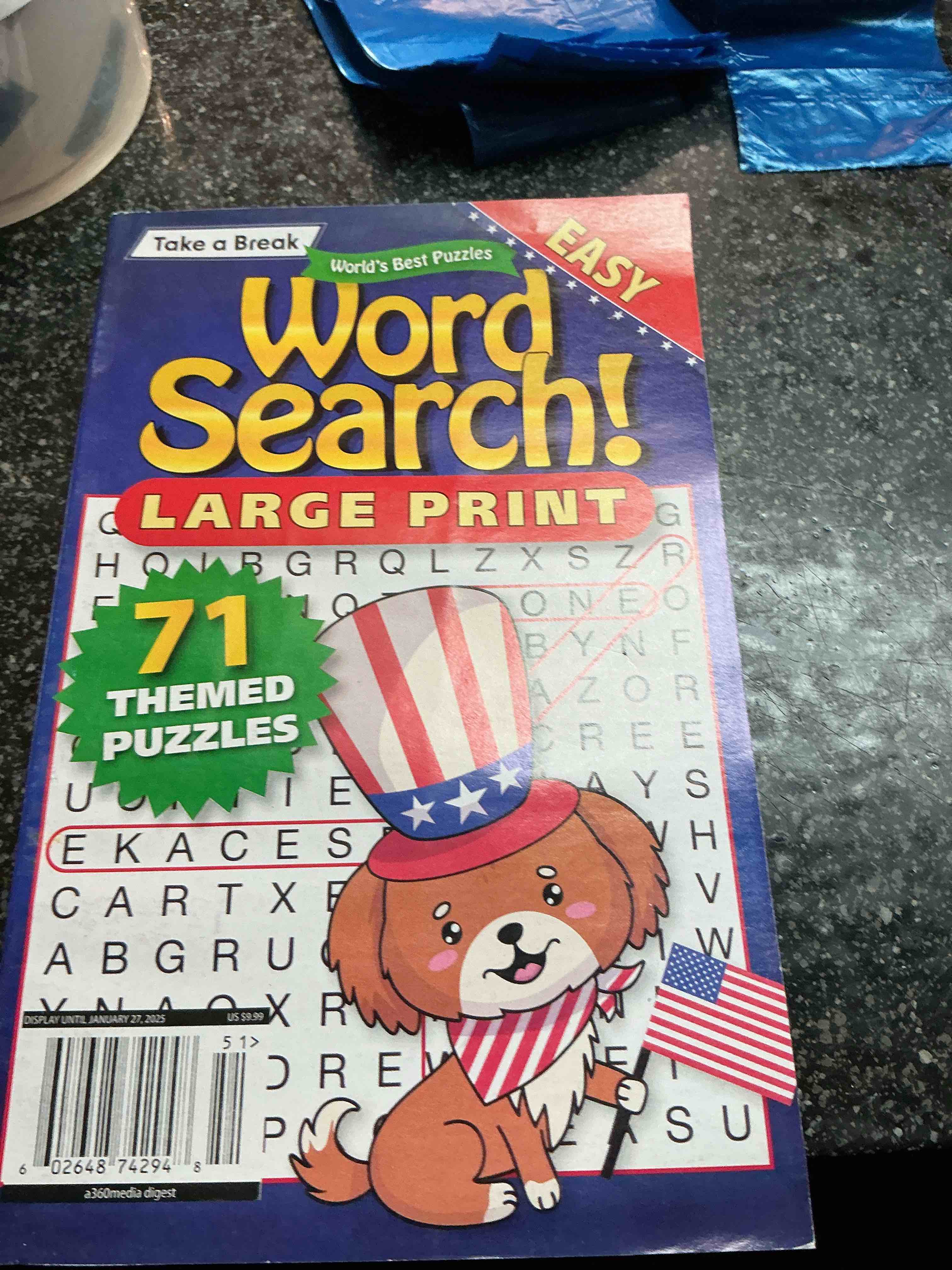 Take A Break Word Search Large Print