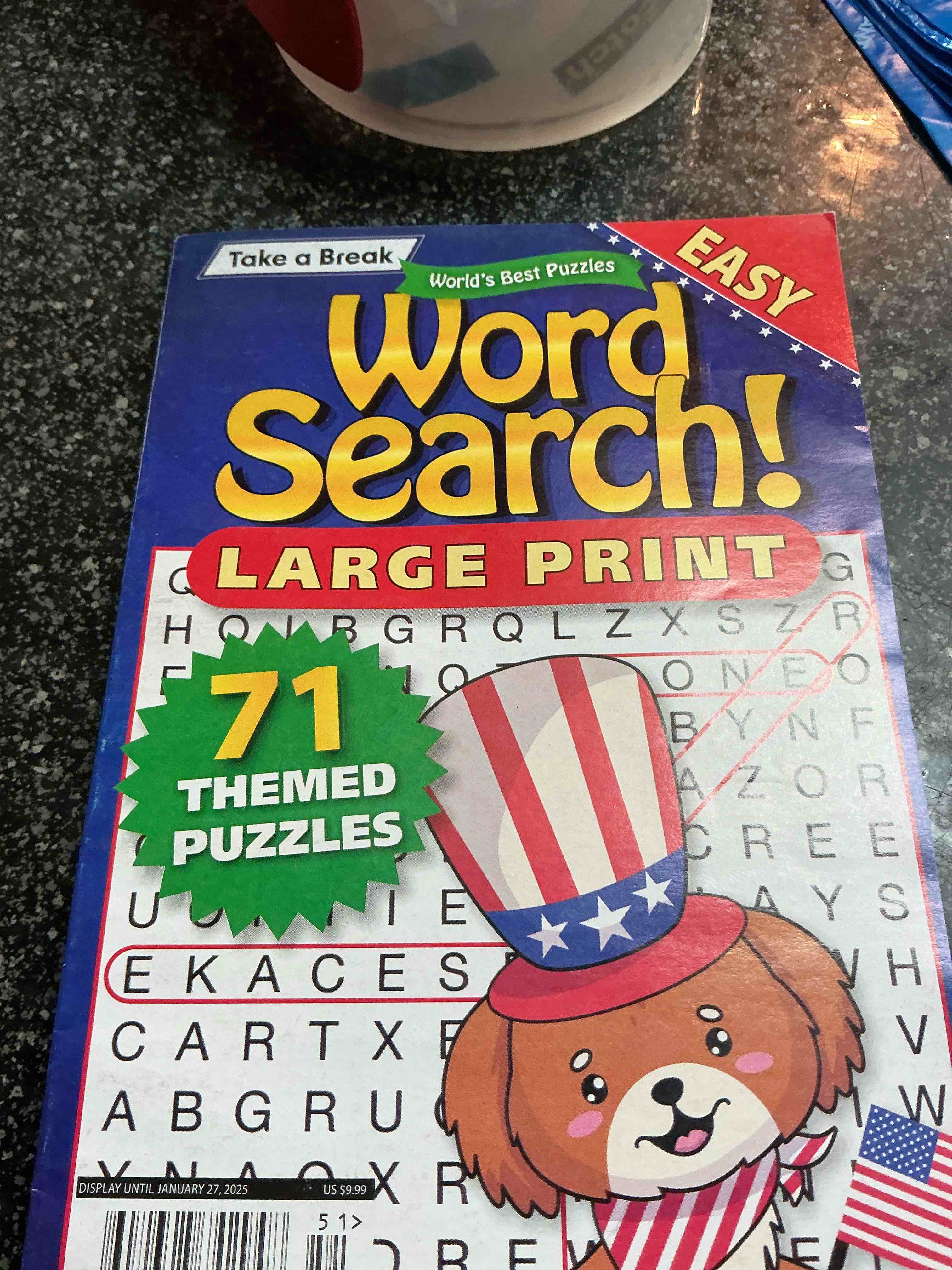 Take A Break Word Search Large Print 71 Theme Puzzles 