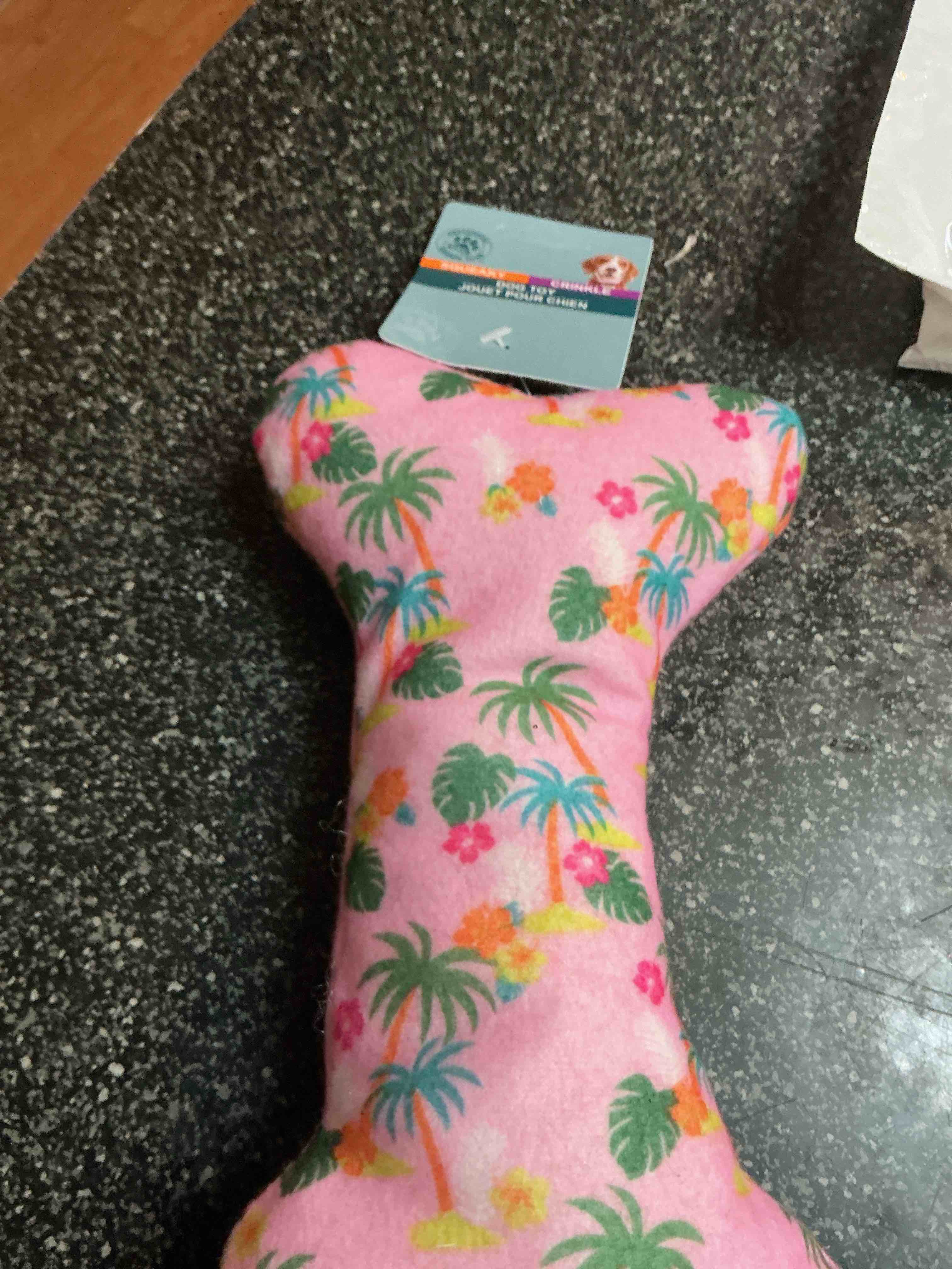 Greenbrier Squeaky Dog Toy  