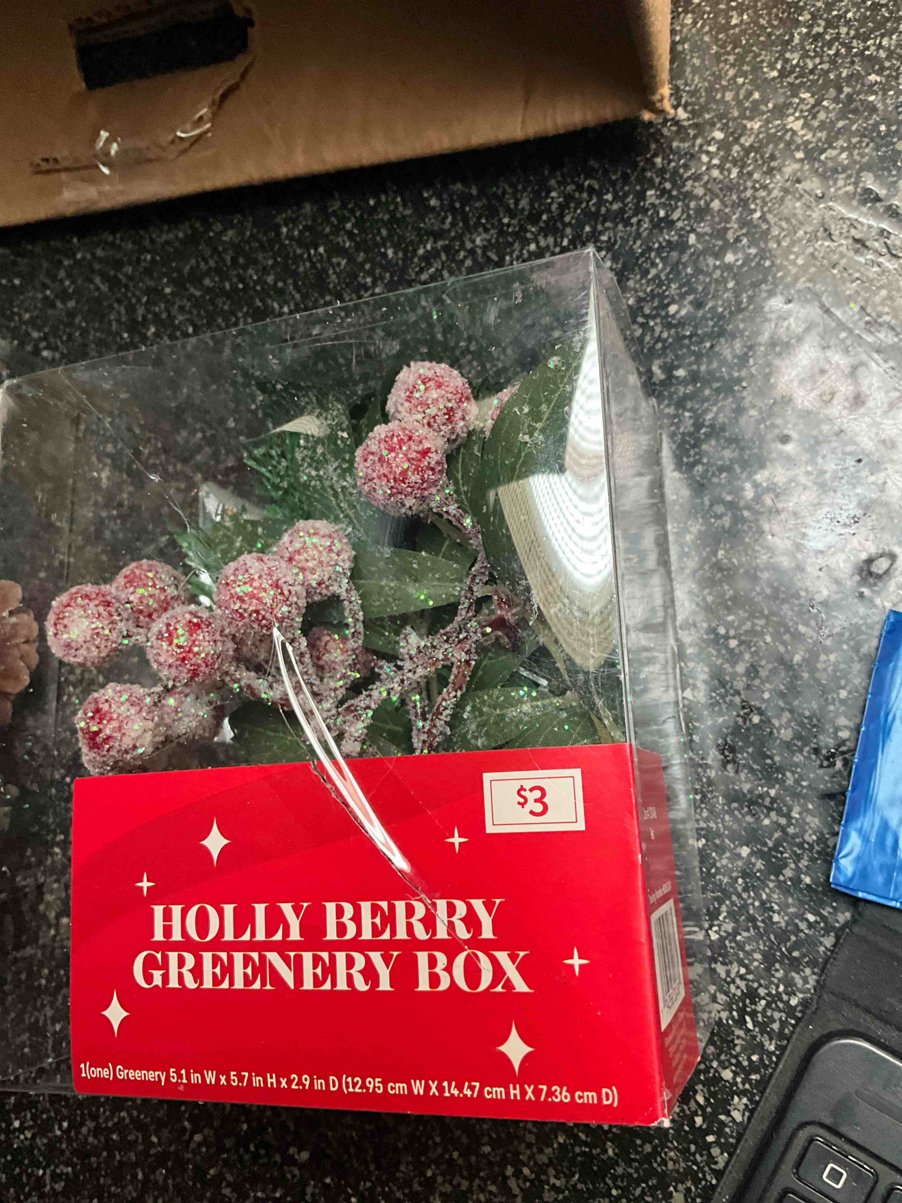 Mistletoe - Greenery Box