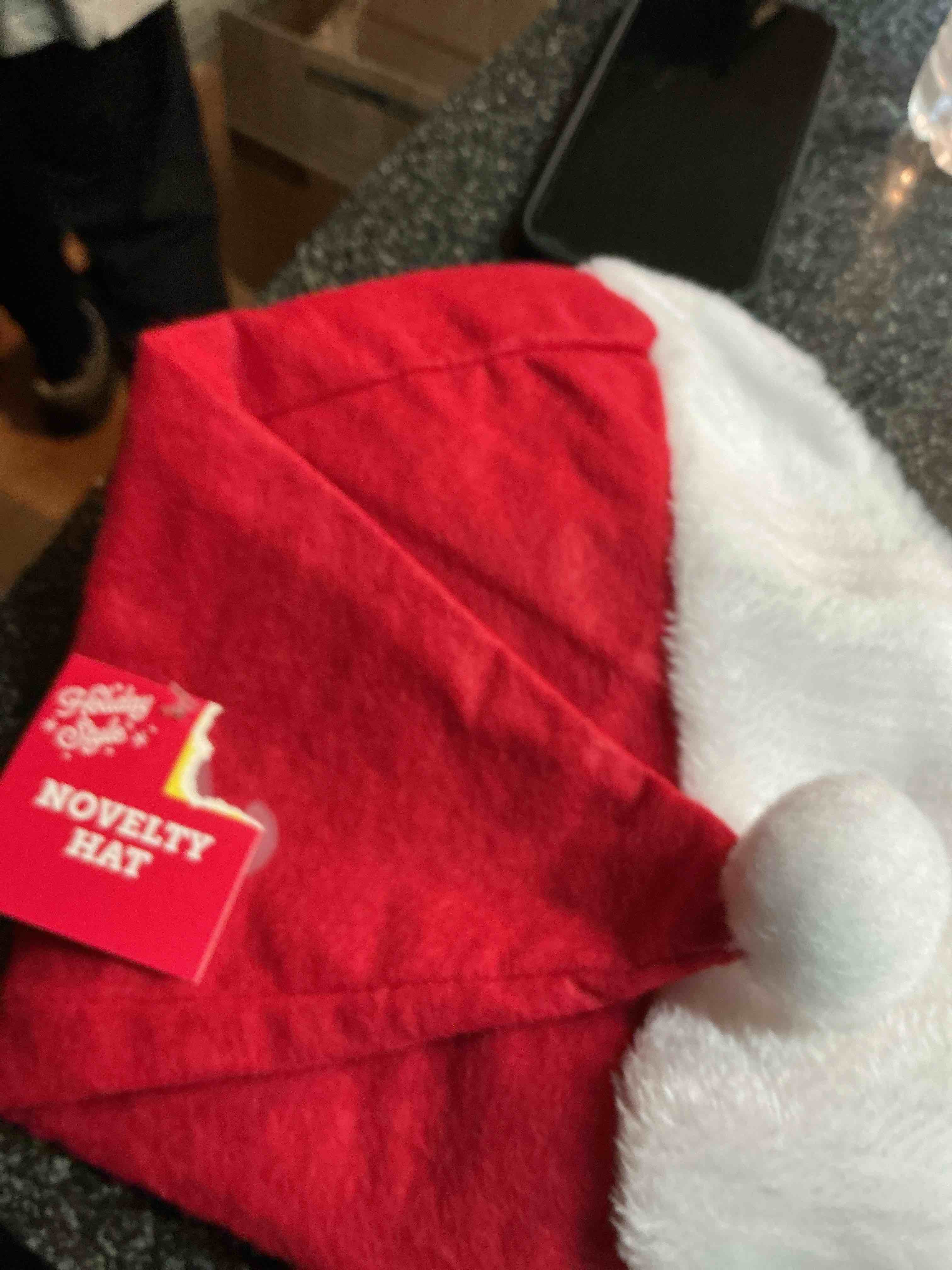 Holiday Style Novelty Hat