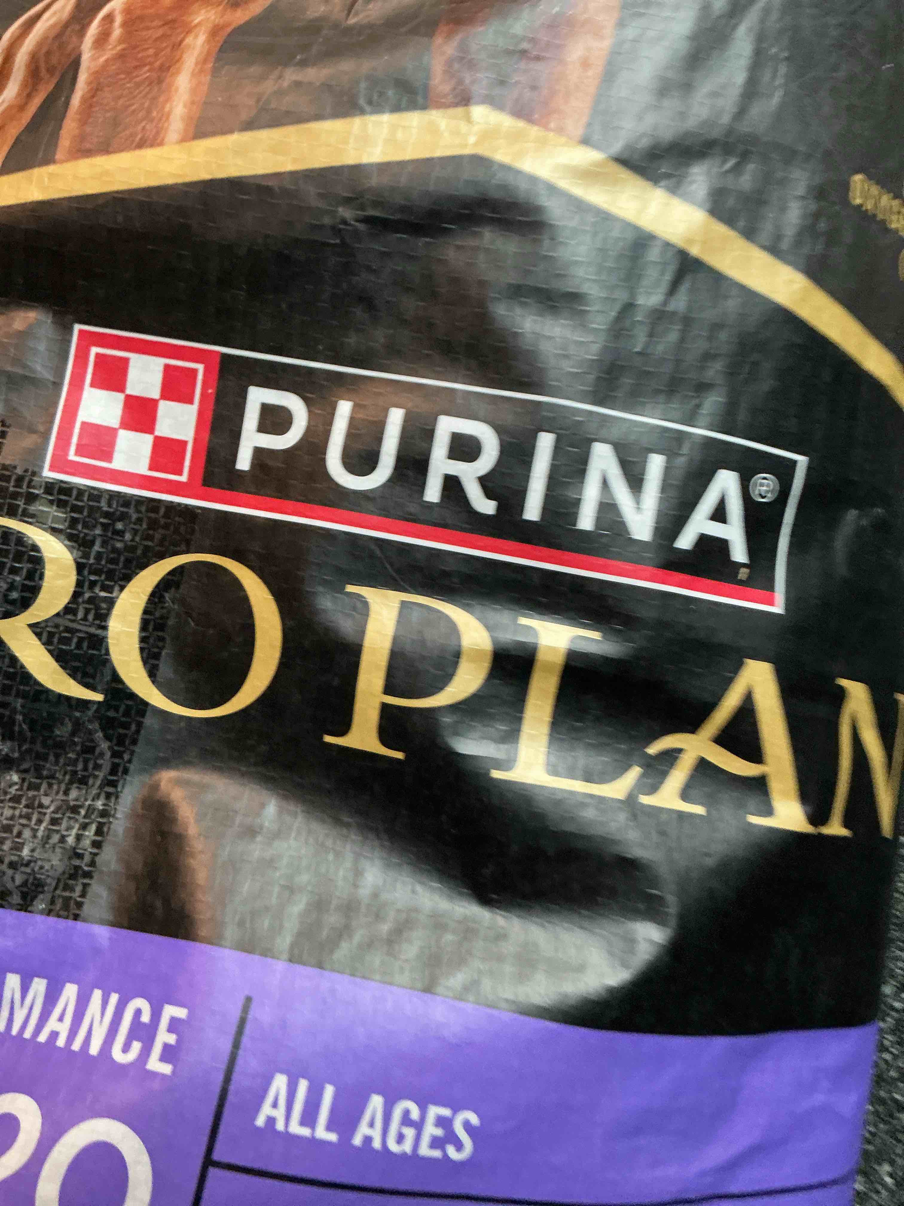 Stellar Items For The Whole Family