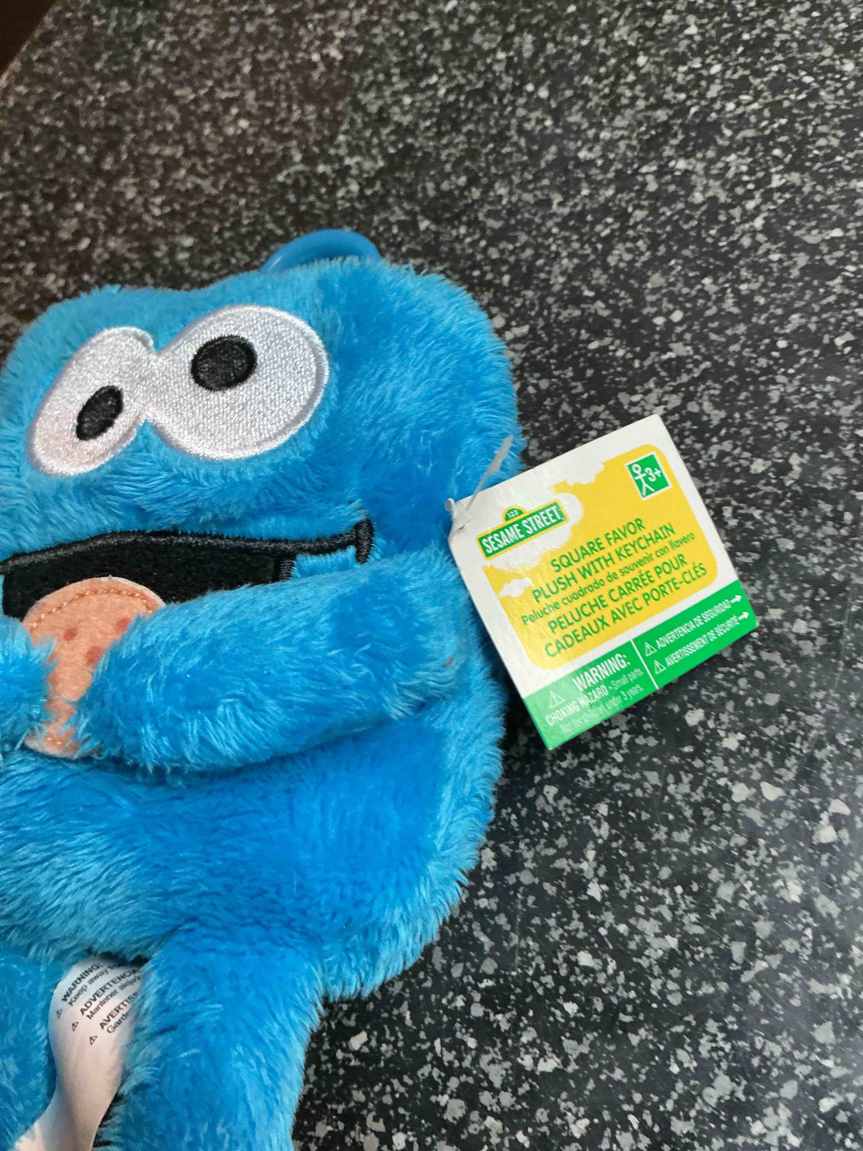 Condition photo showing New/Like New for Sesame Street - Plush With Key Chain 