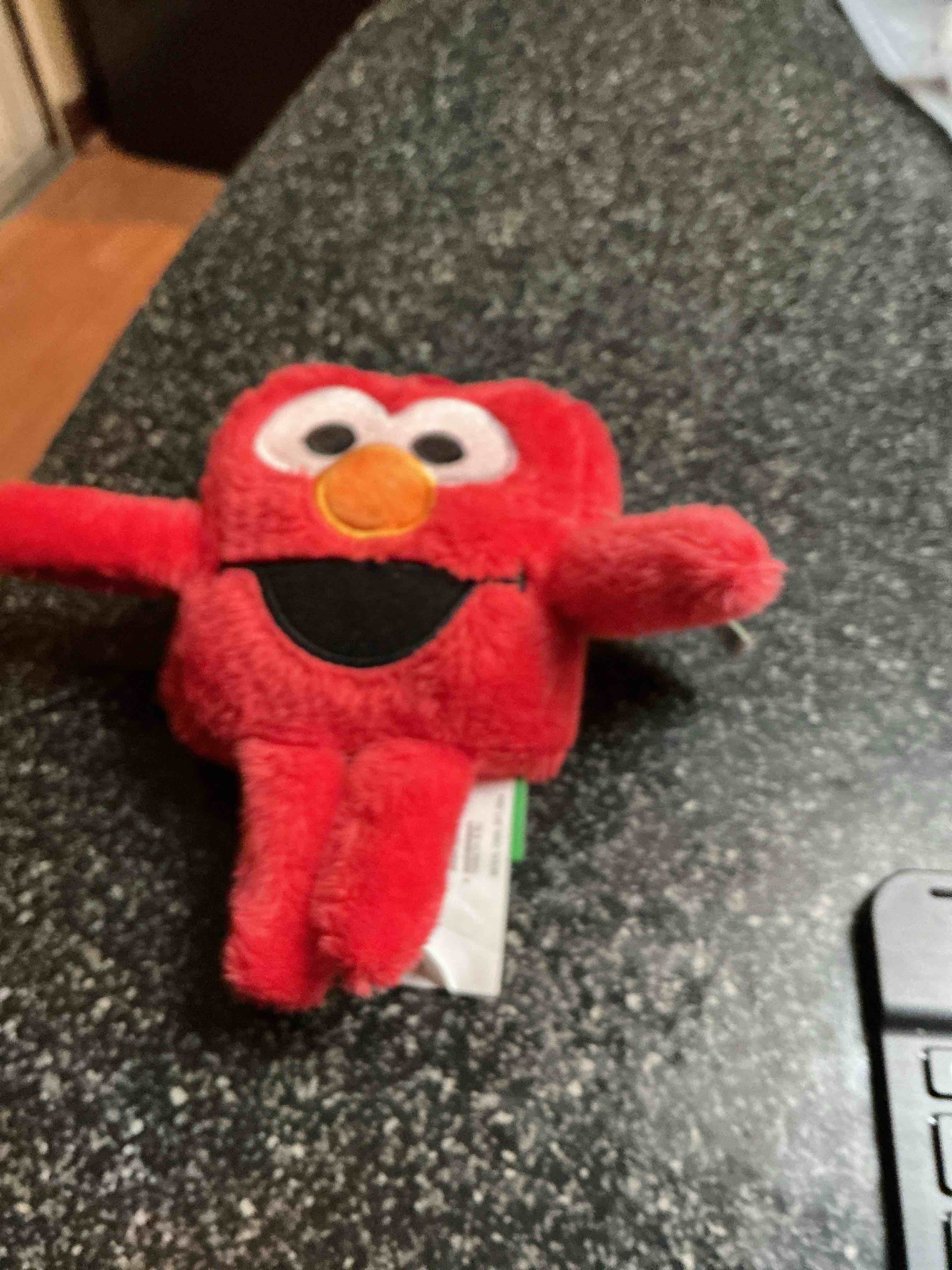 Sesame Street Square Plush With Keychain  
