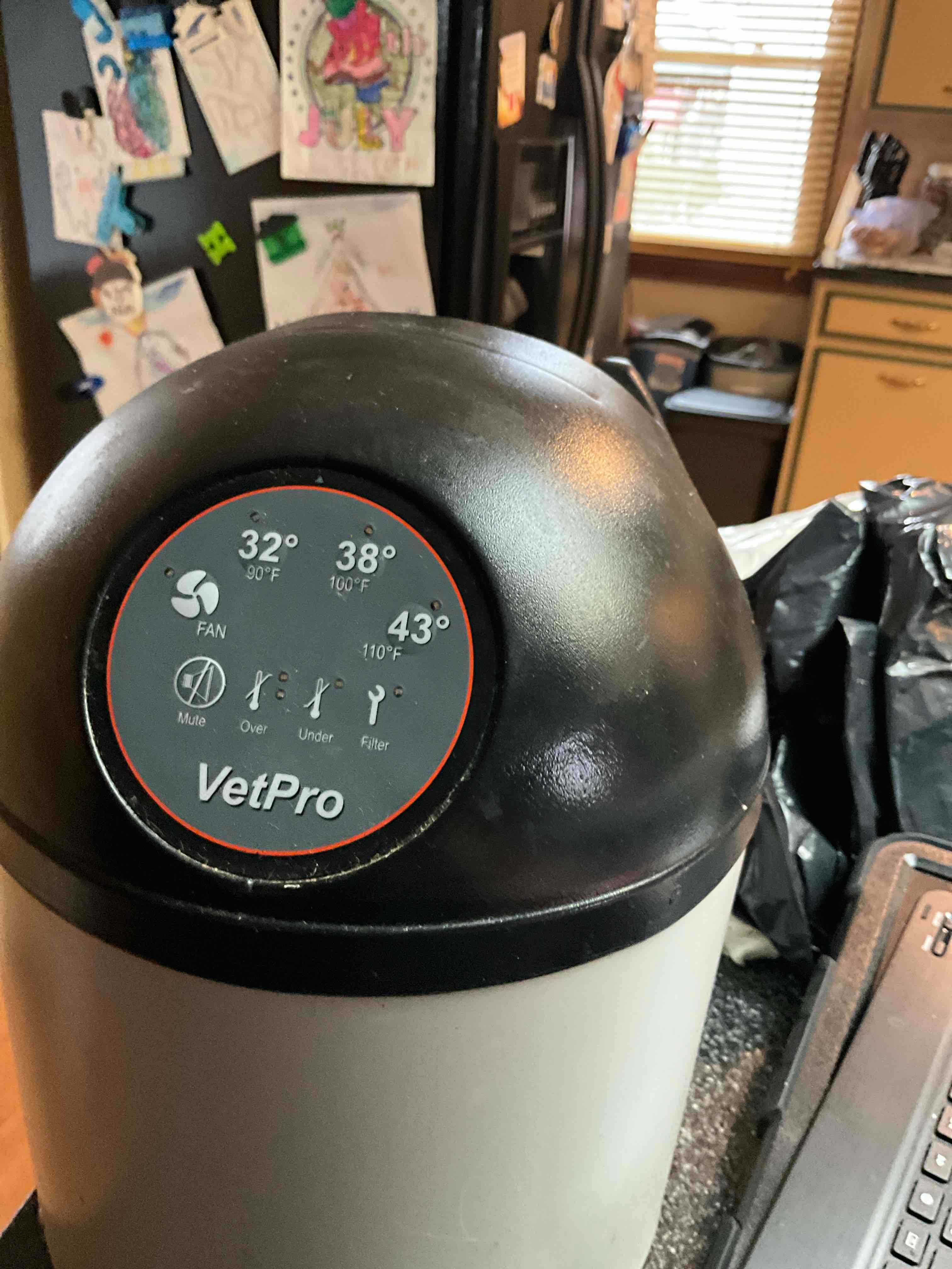 Good Morning Sunshine!