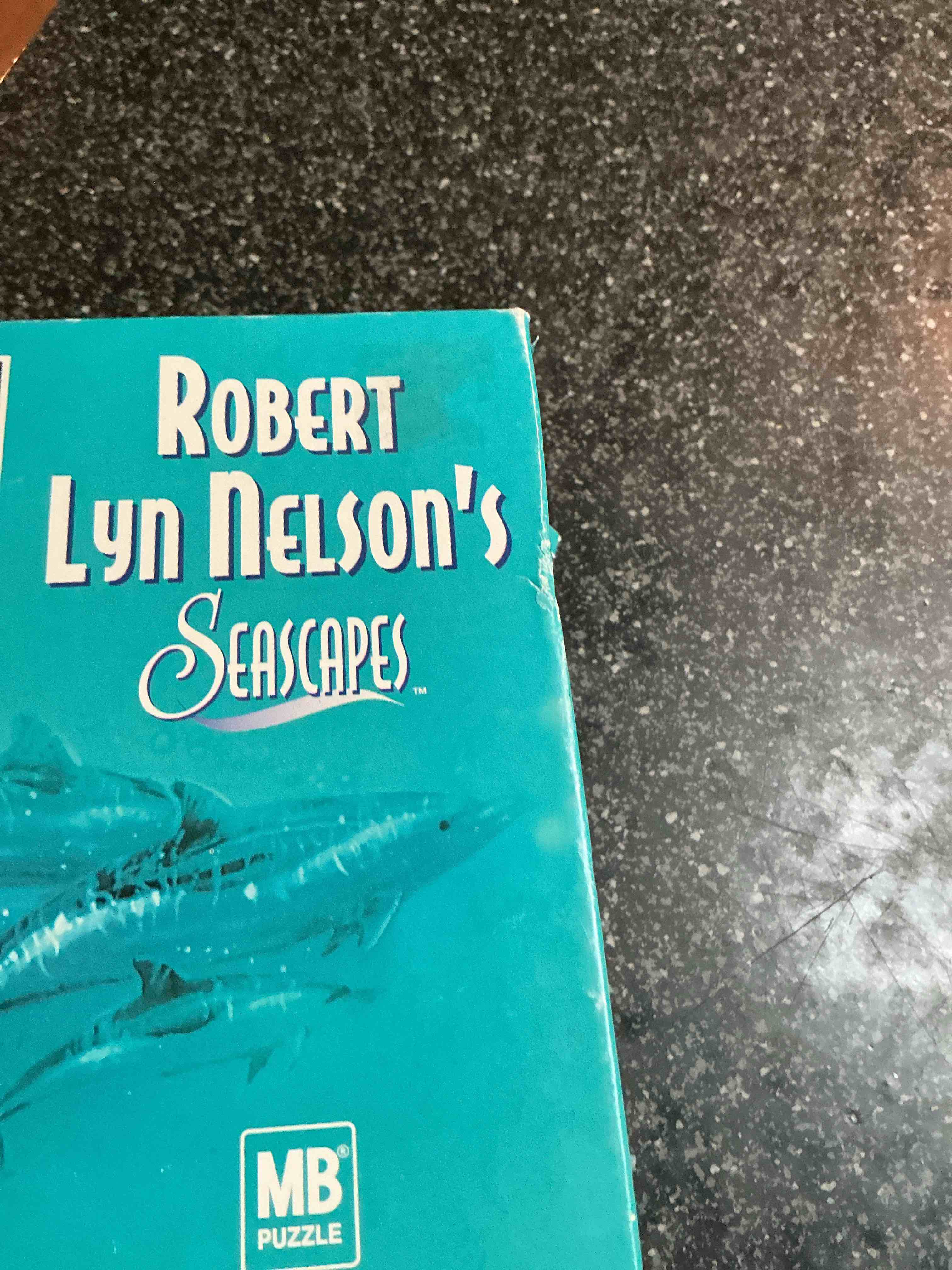 Condition photo showing Good Condition for Robert Lyn Nelson’s Seascapes 