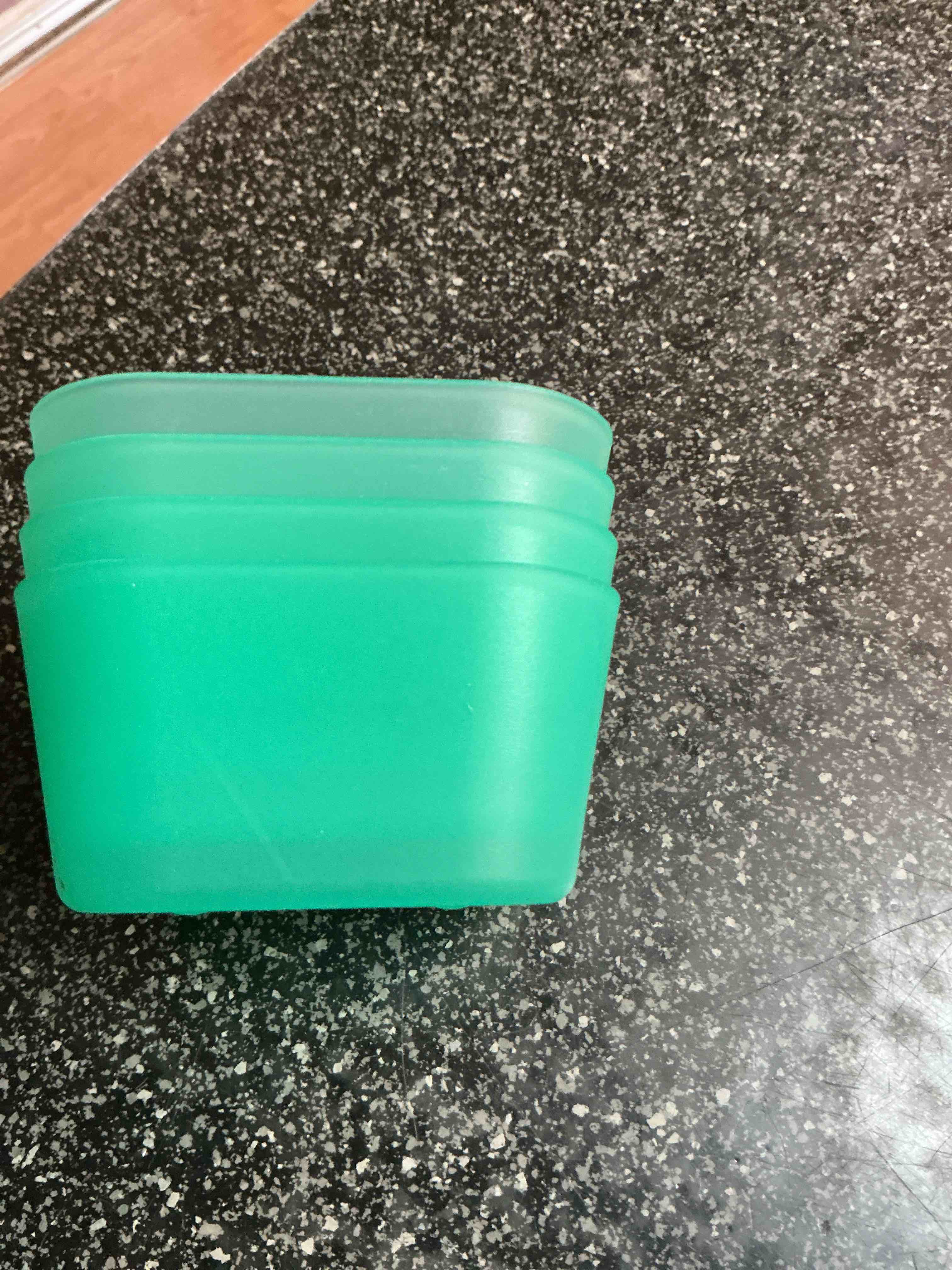 Condition photo showing New/Like New for Green Storage Containers 