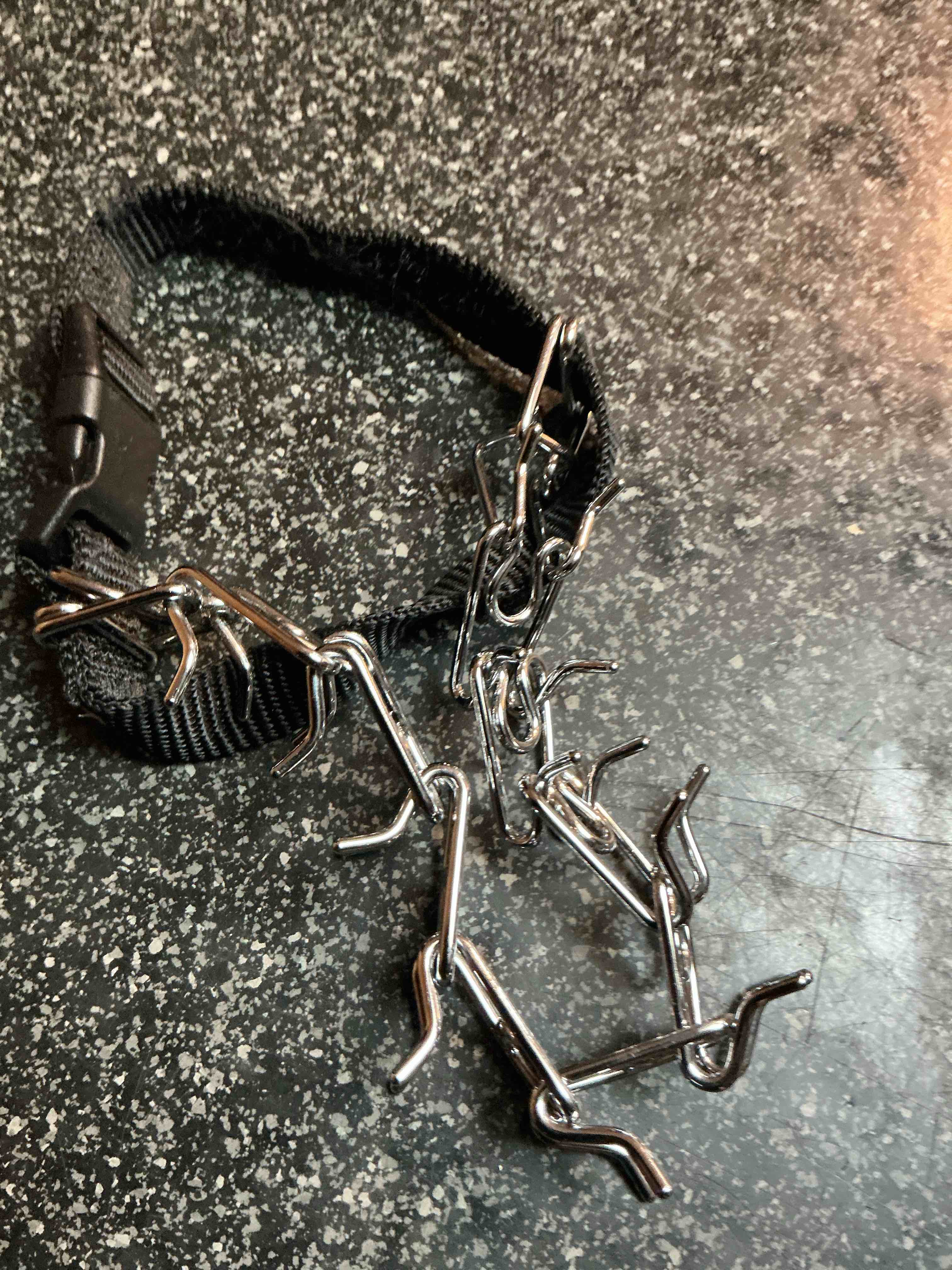 Small Dog Training Collar 