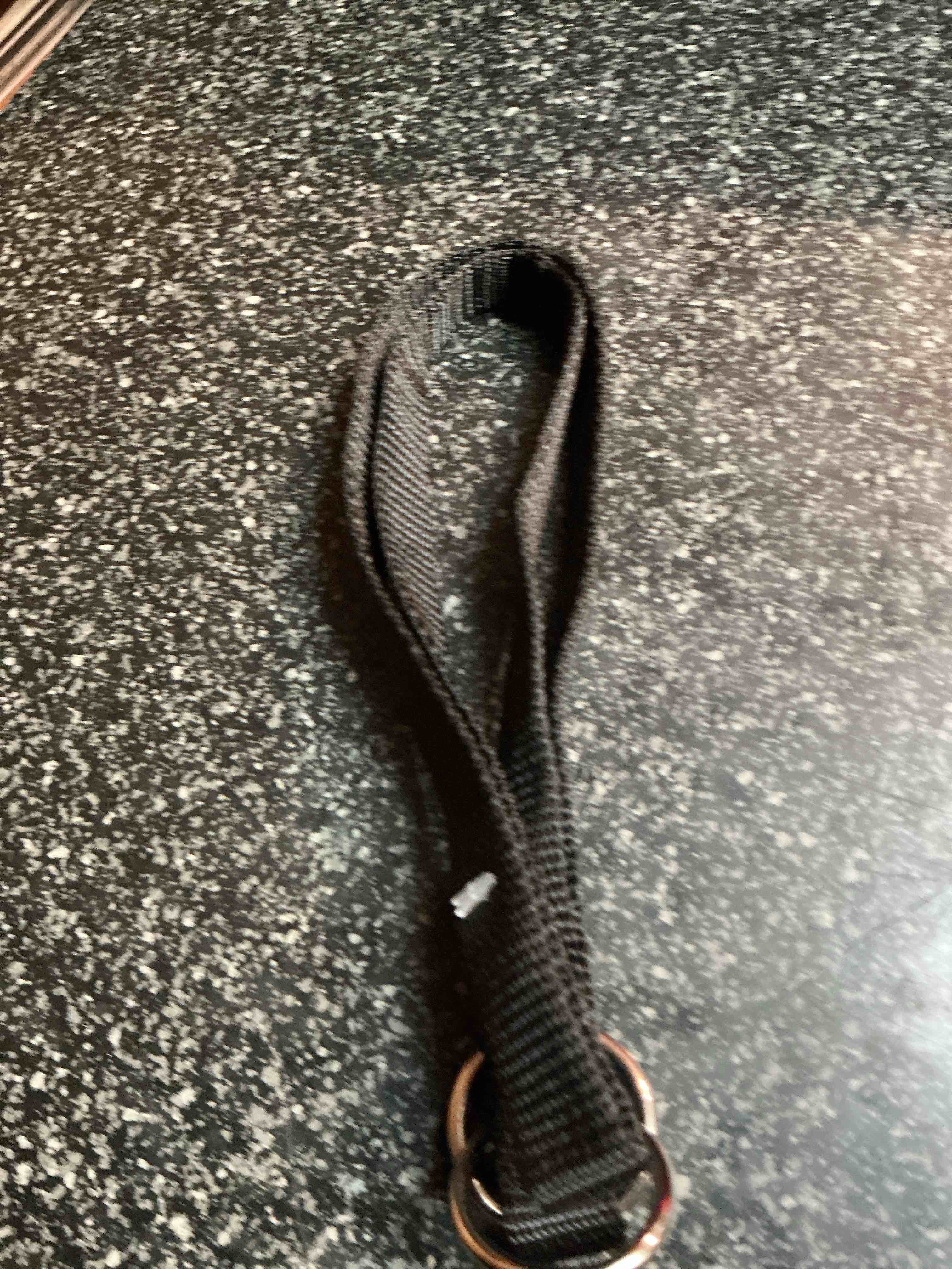 Condition photo showing New/Like New for Black Leash For Dogs Size M/L 