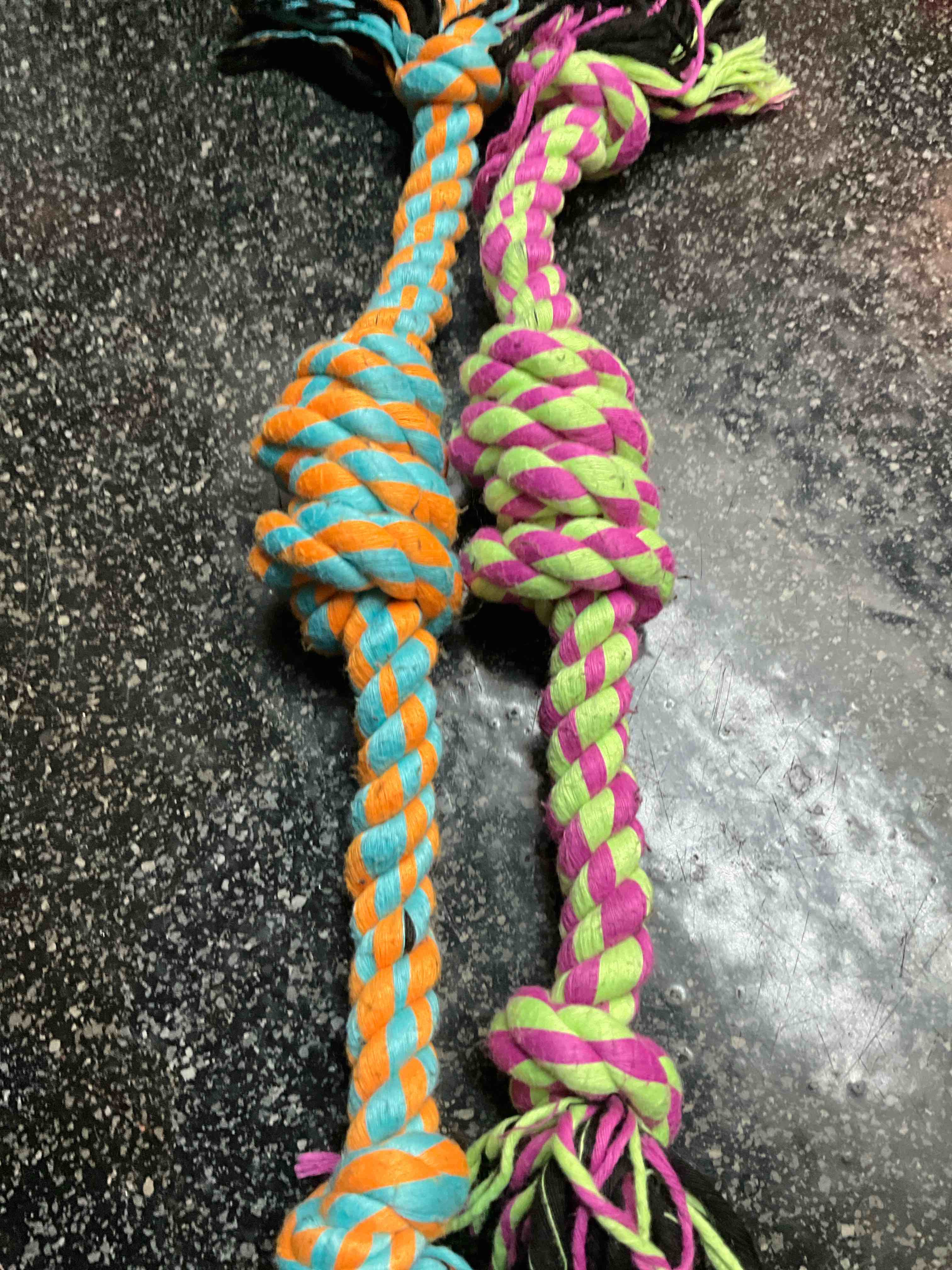 Triple Knotted Dog Ropes 