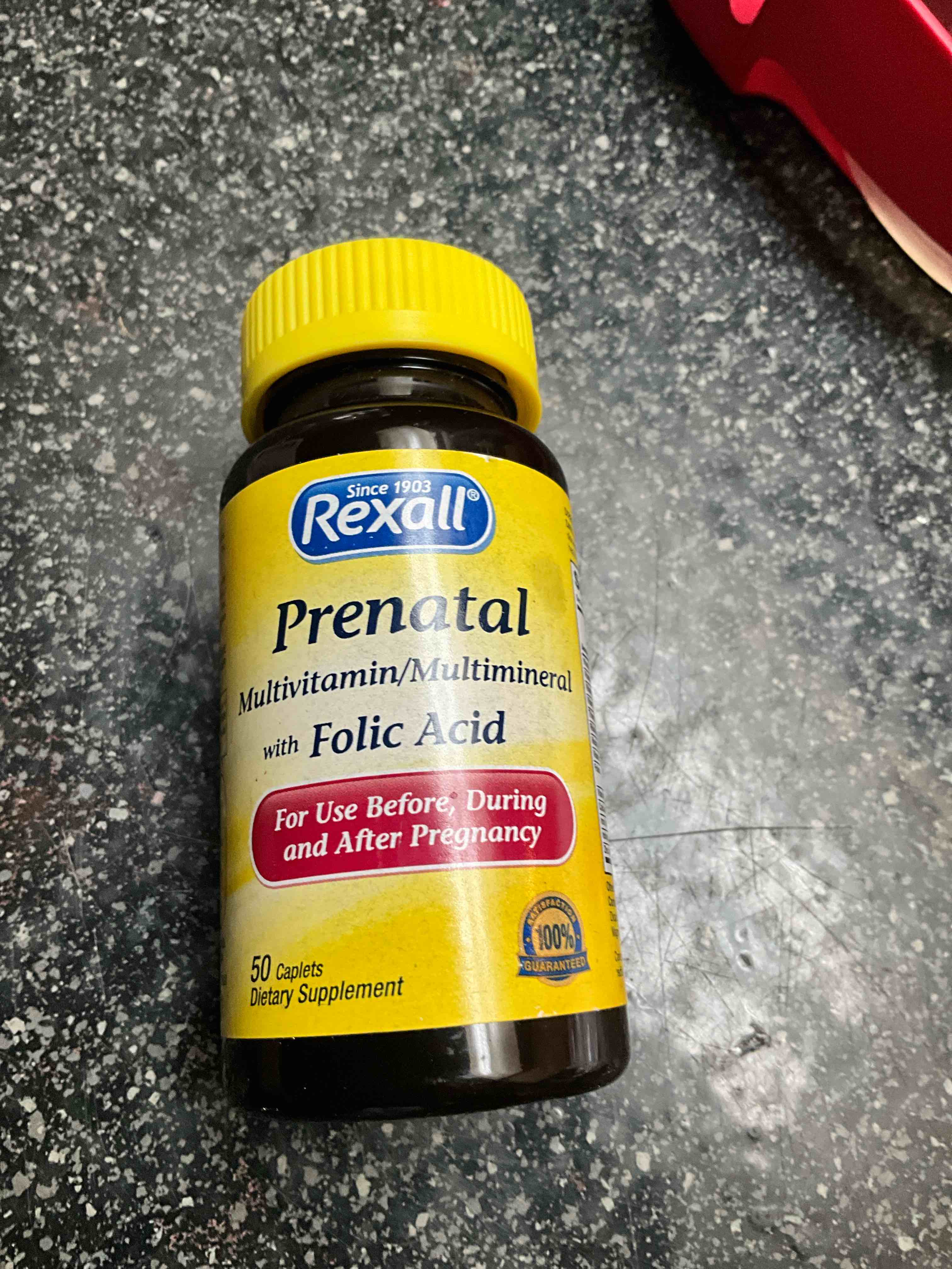 Rexall - Multivitamin/Multimineral/Folic Acid - 50 Caplets 