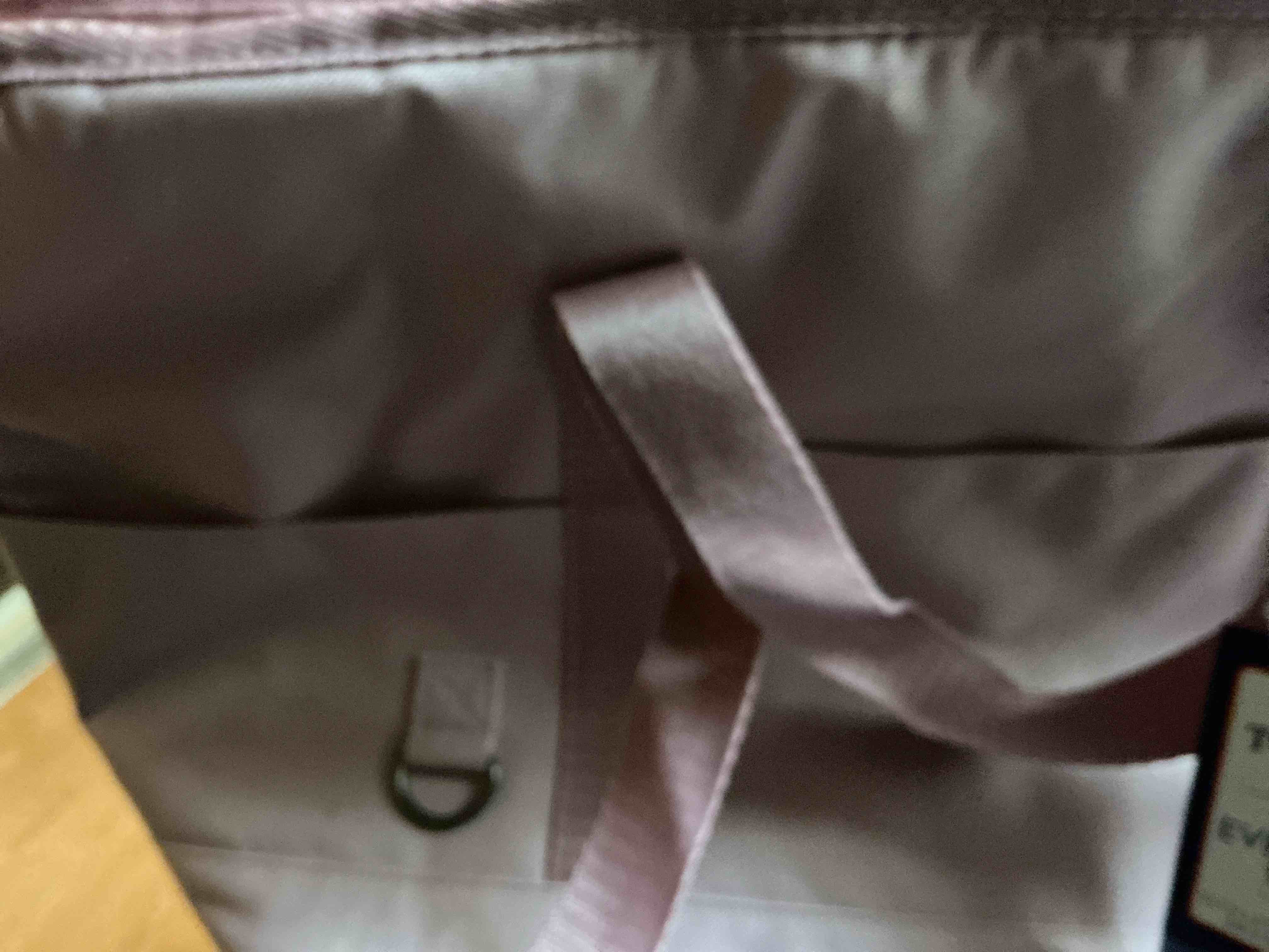 Top - Paw Everyday Tote Holds Pets Up To 15 LBS. Mauve 