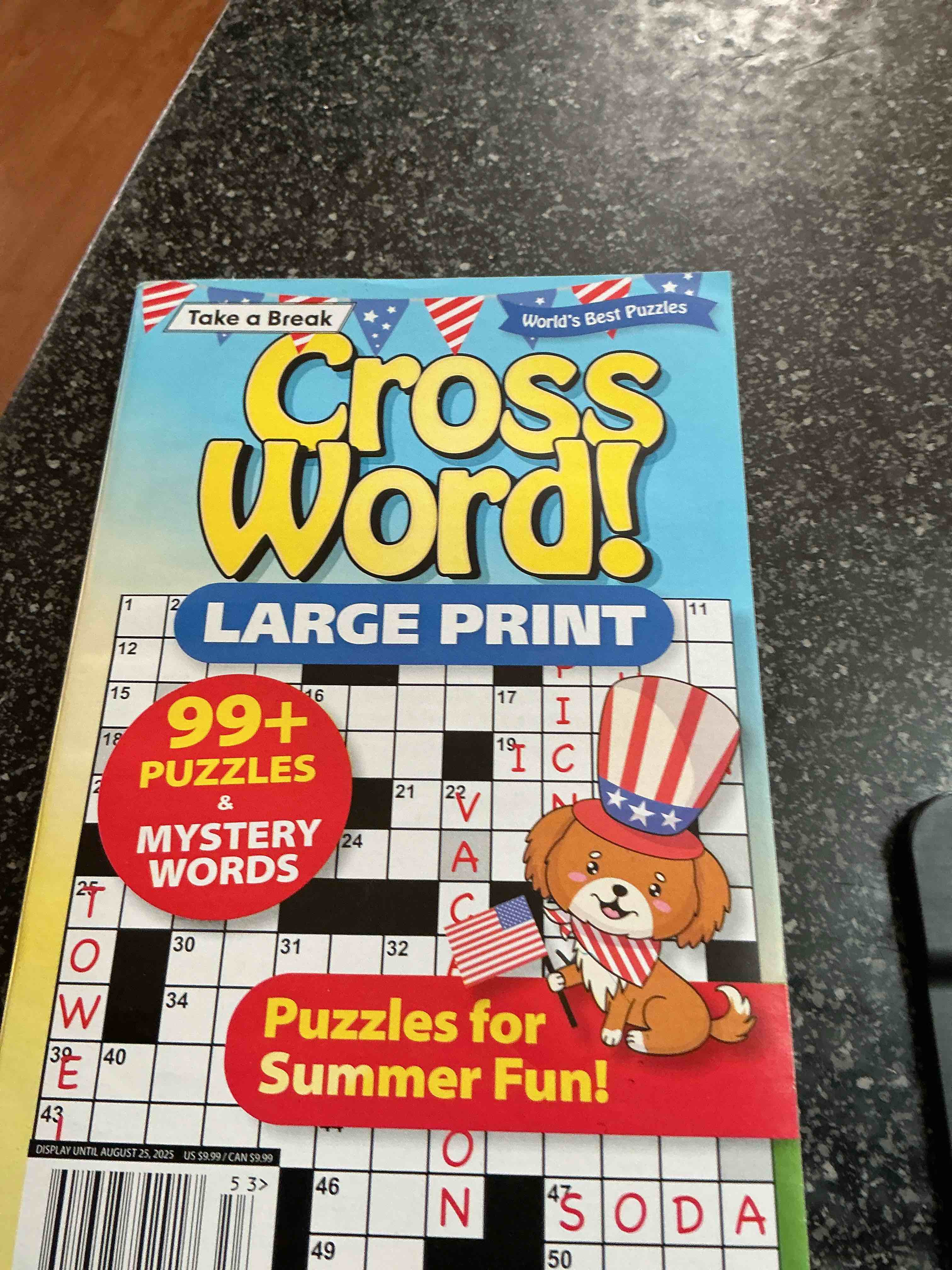 take a break cross word large print 99 + puzzles 
