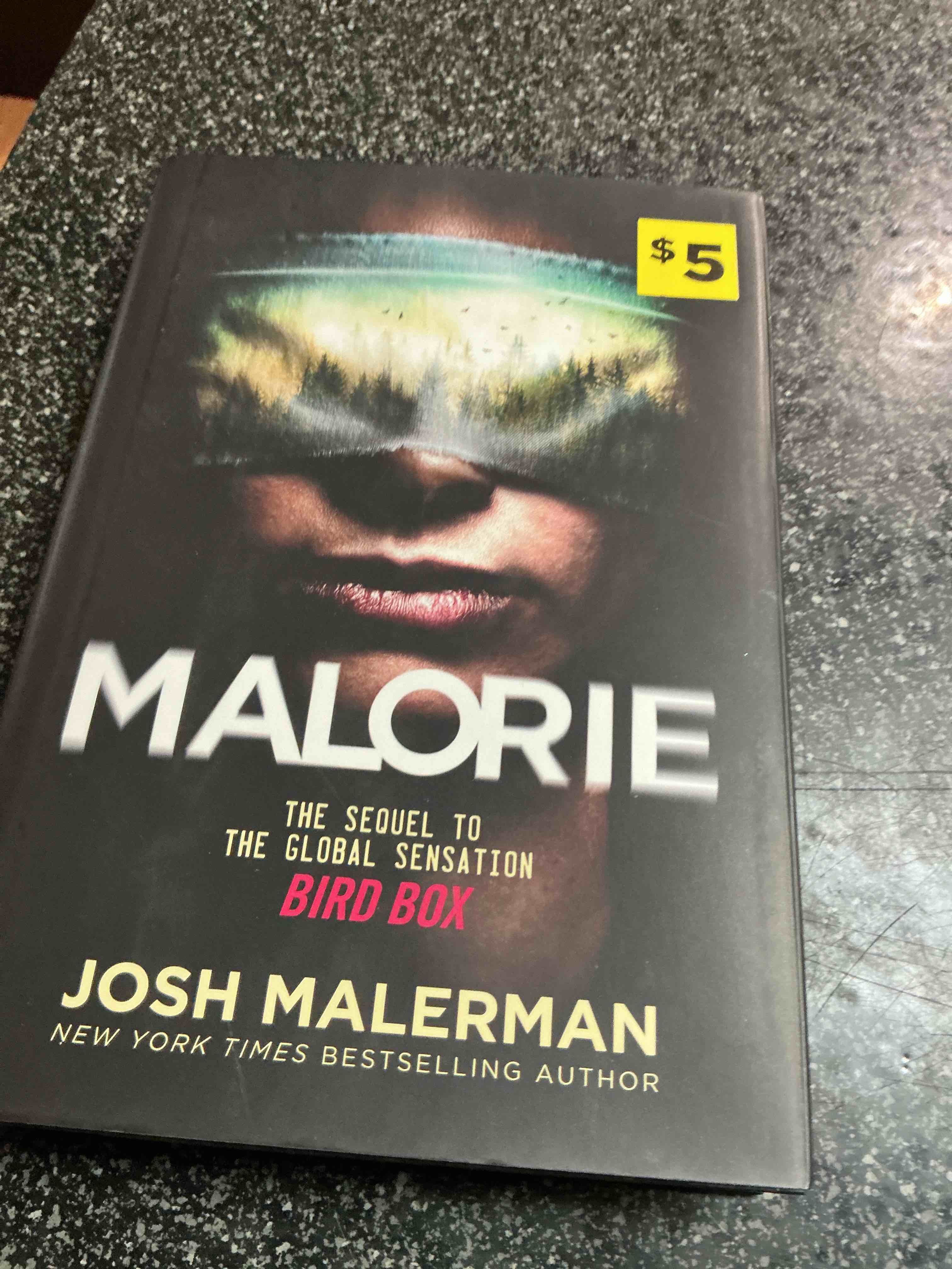 Majorie The Sequel To The Global Sensation Bird Box 