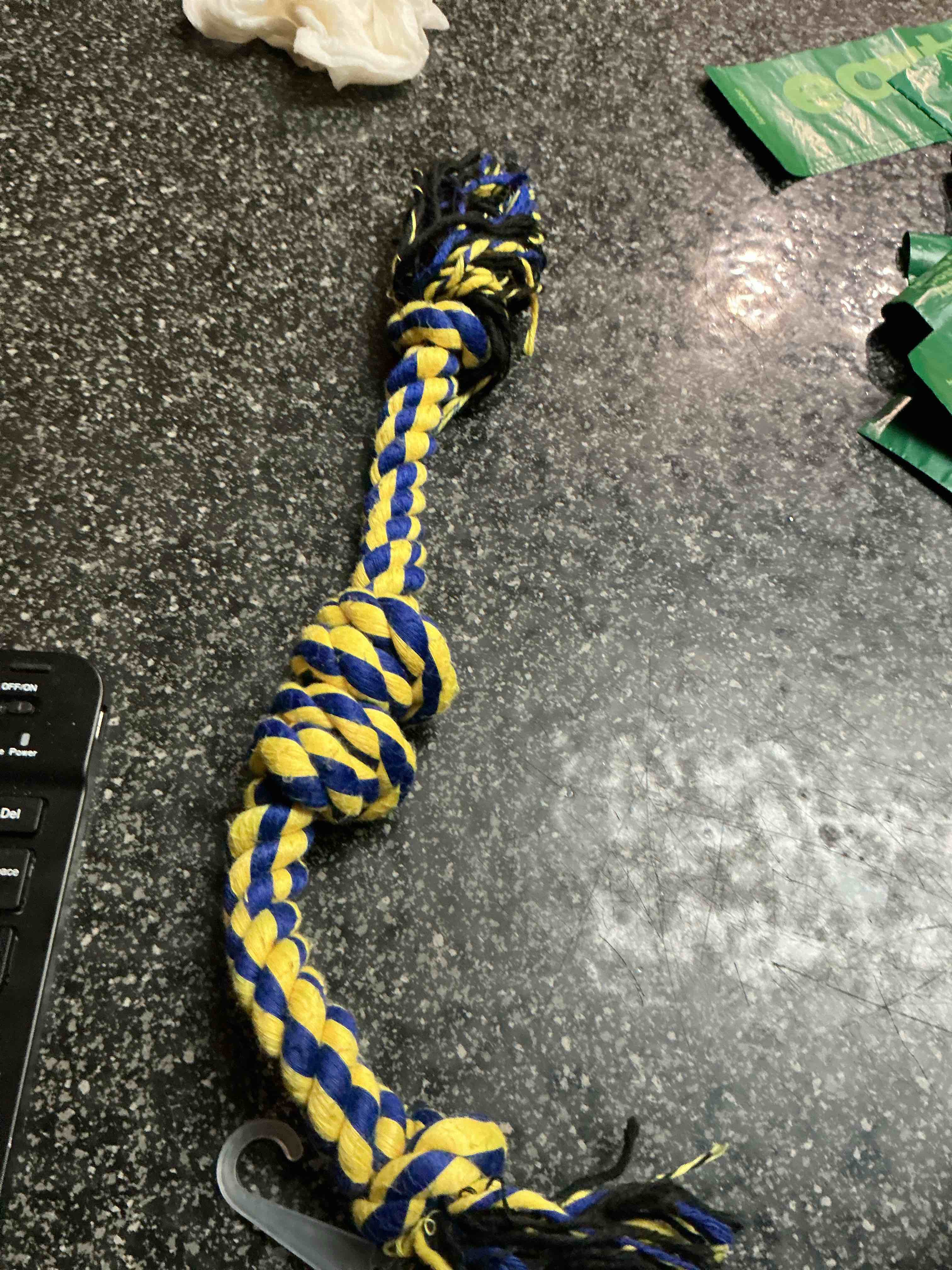 Blue & Yellow Dog Rope