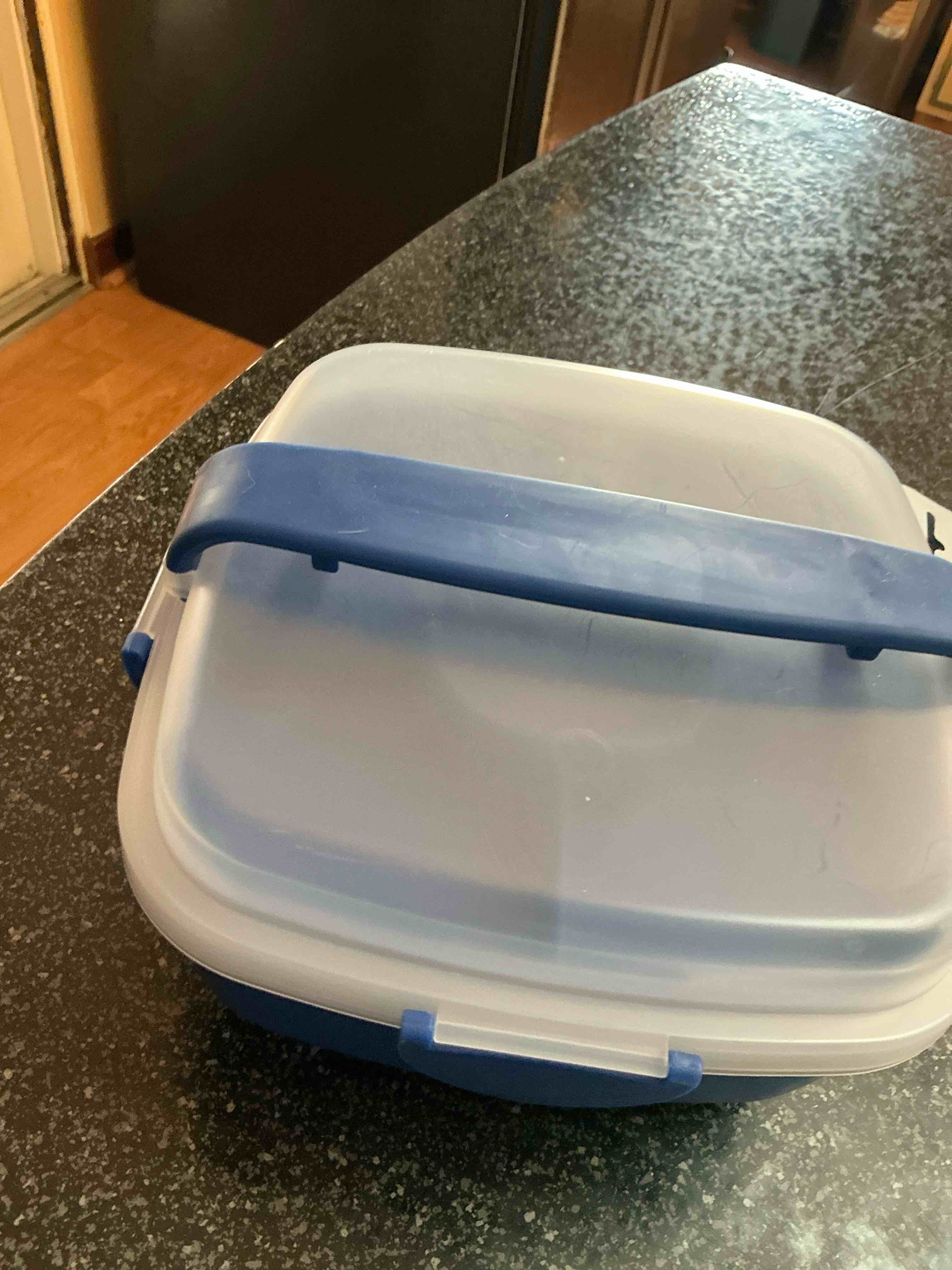 Blue Lunch Box 
