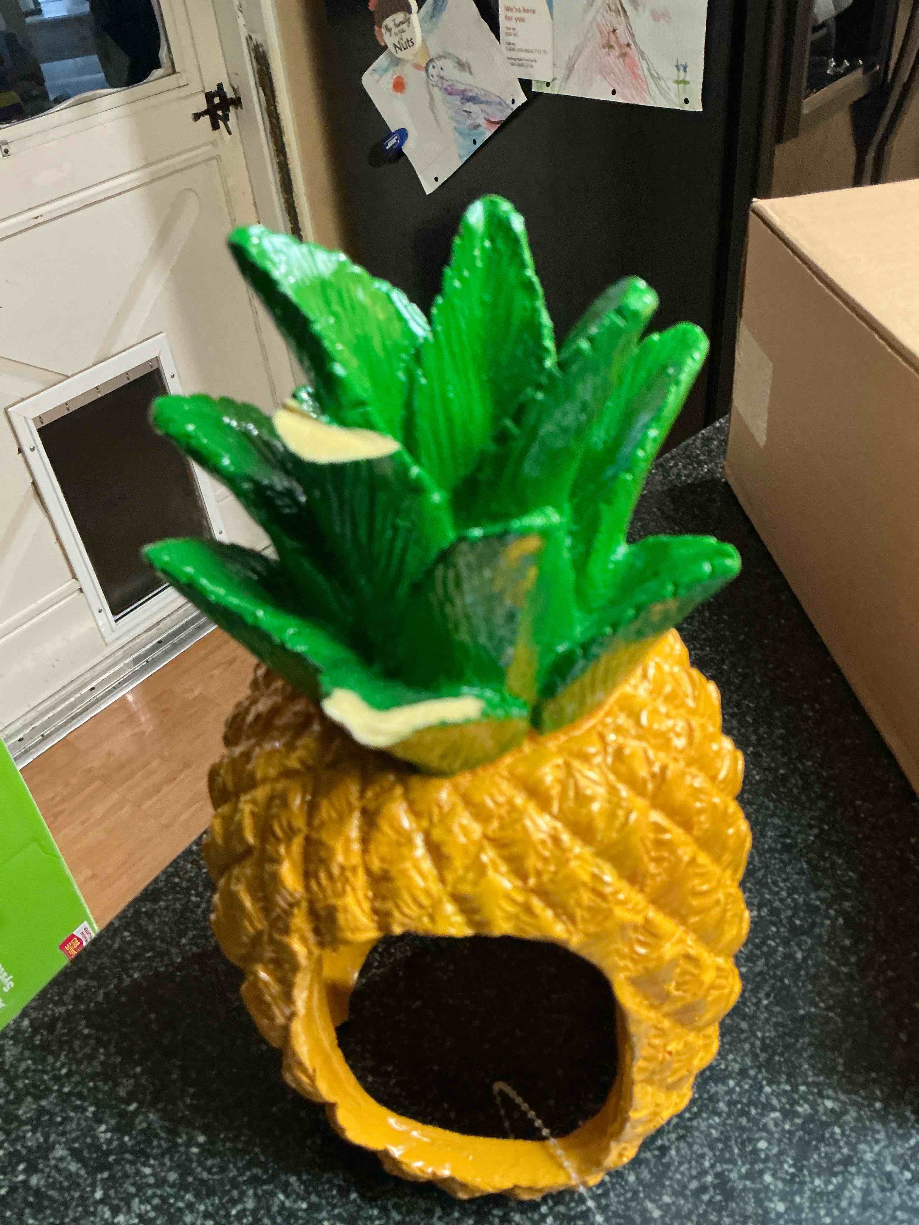 top - fin aquarium decor