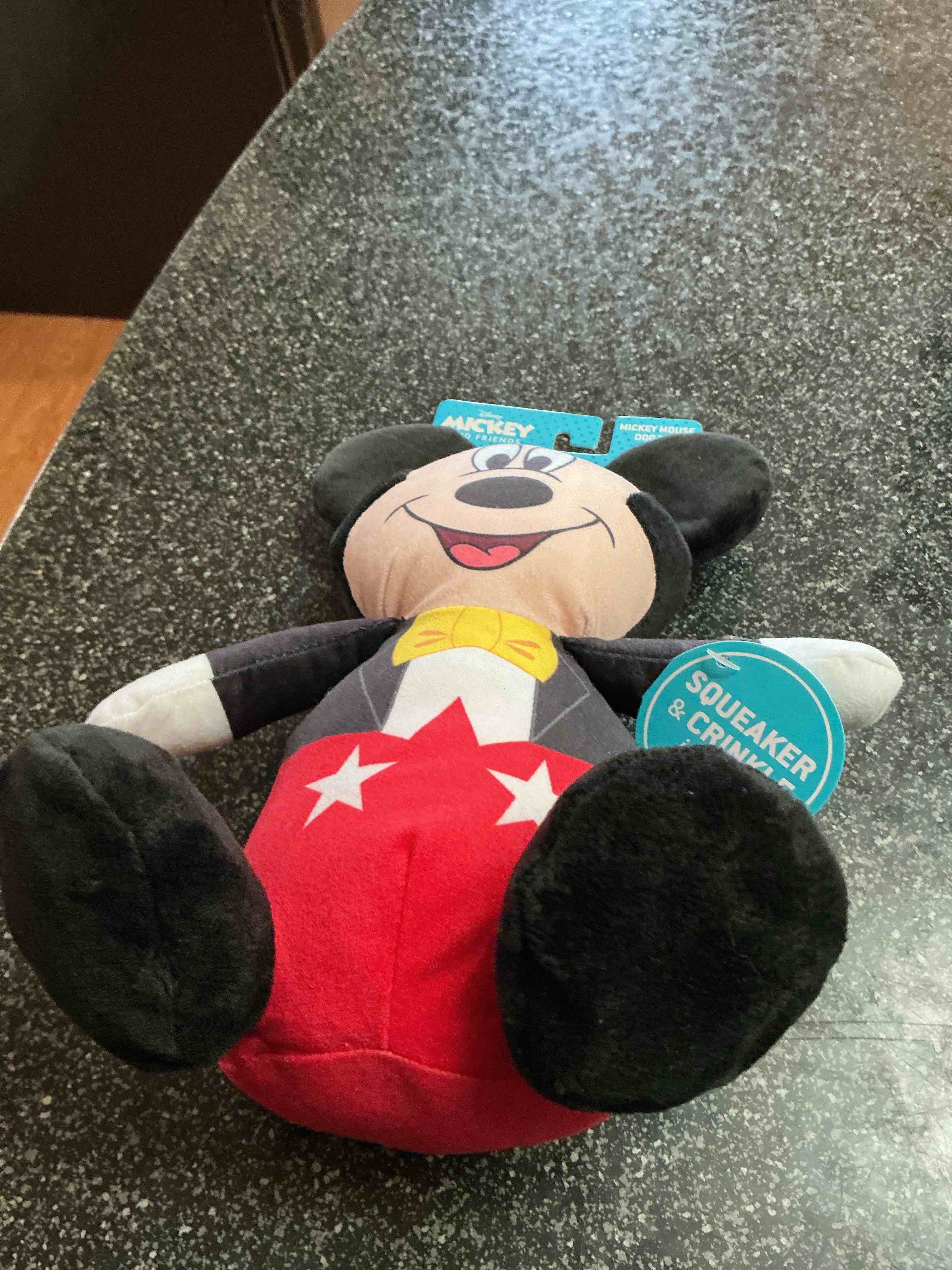 Disney Mickey Mouse Squeaker & Crinkle Dog Toy 