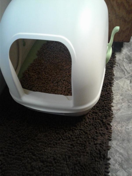 This Auction Is Sweet!