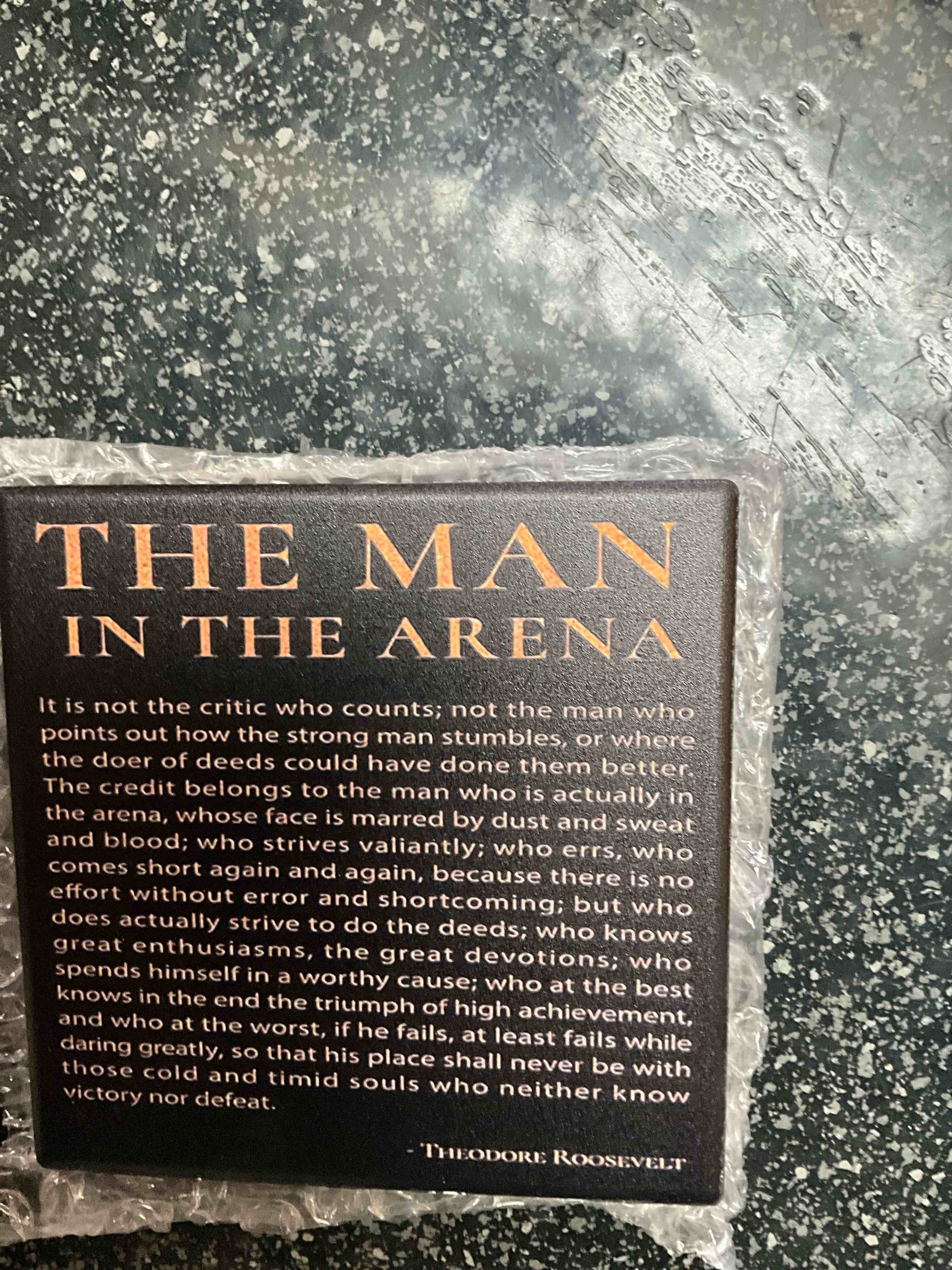 Decorative Plaque On a Wooden Stand - Roosevelt Quote 