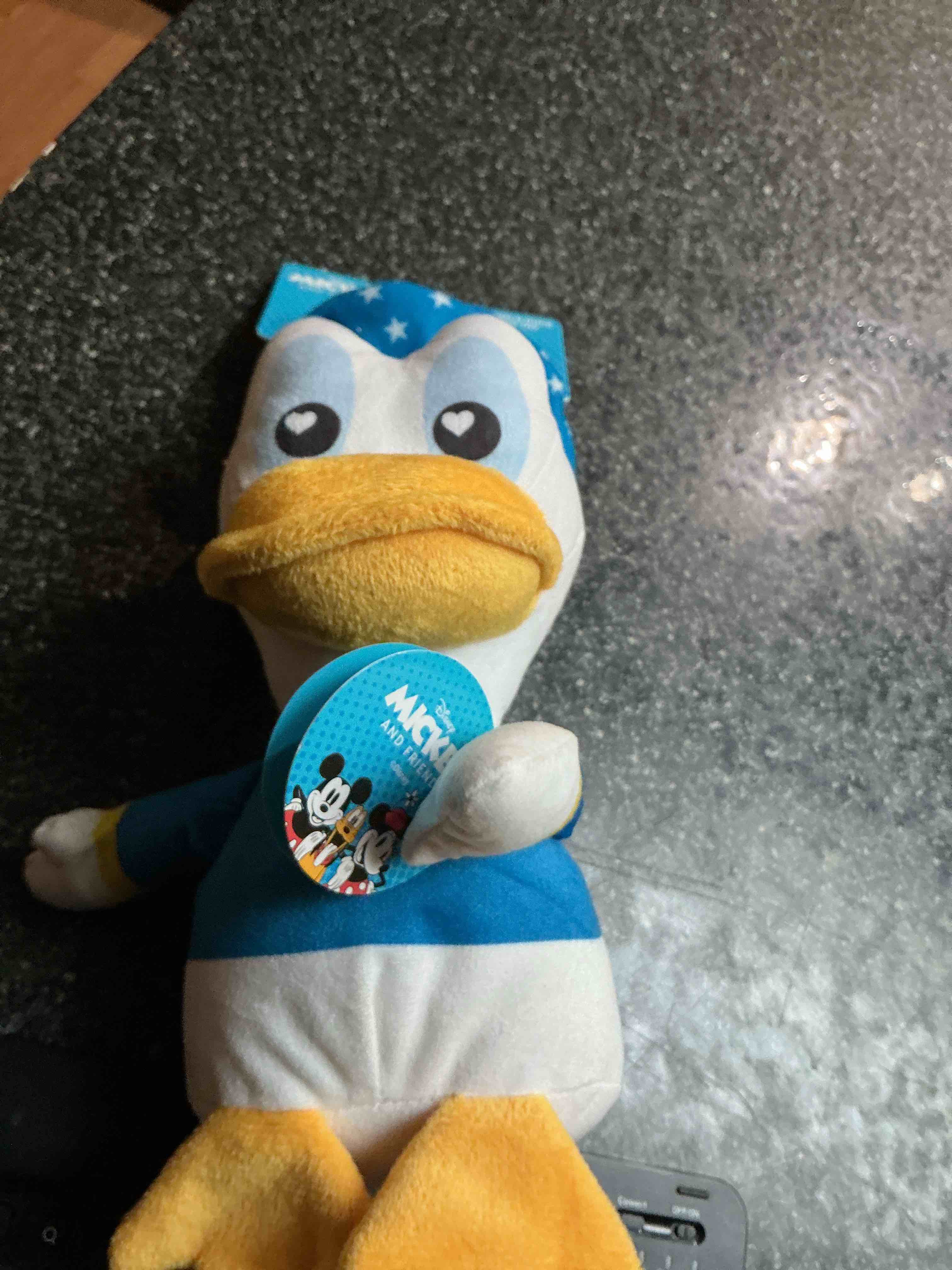 Disney Mickey & Friends Donald - Squeaky Inside Dog Toy 