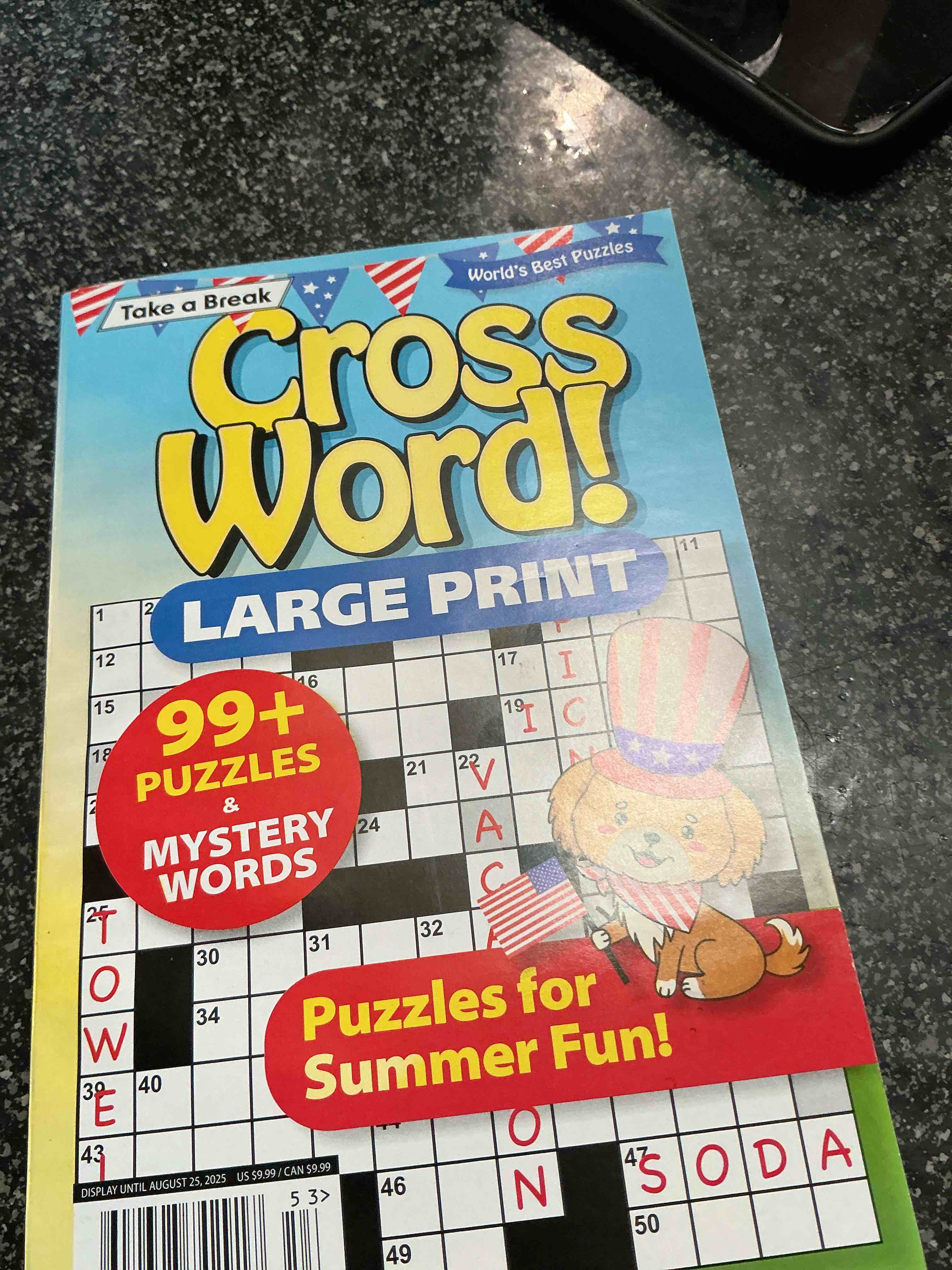 take a break cross word large print 99 + puzzles 