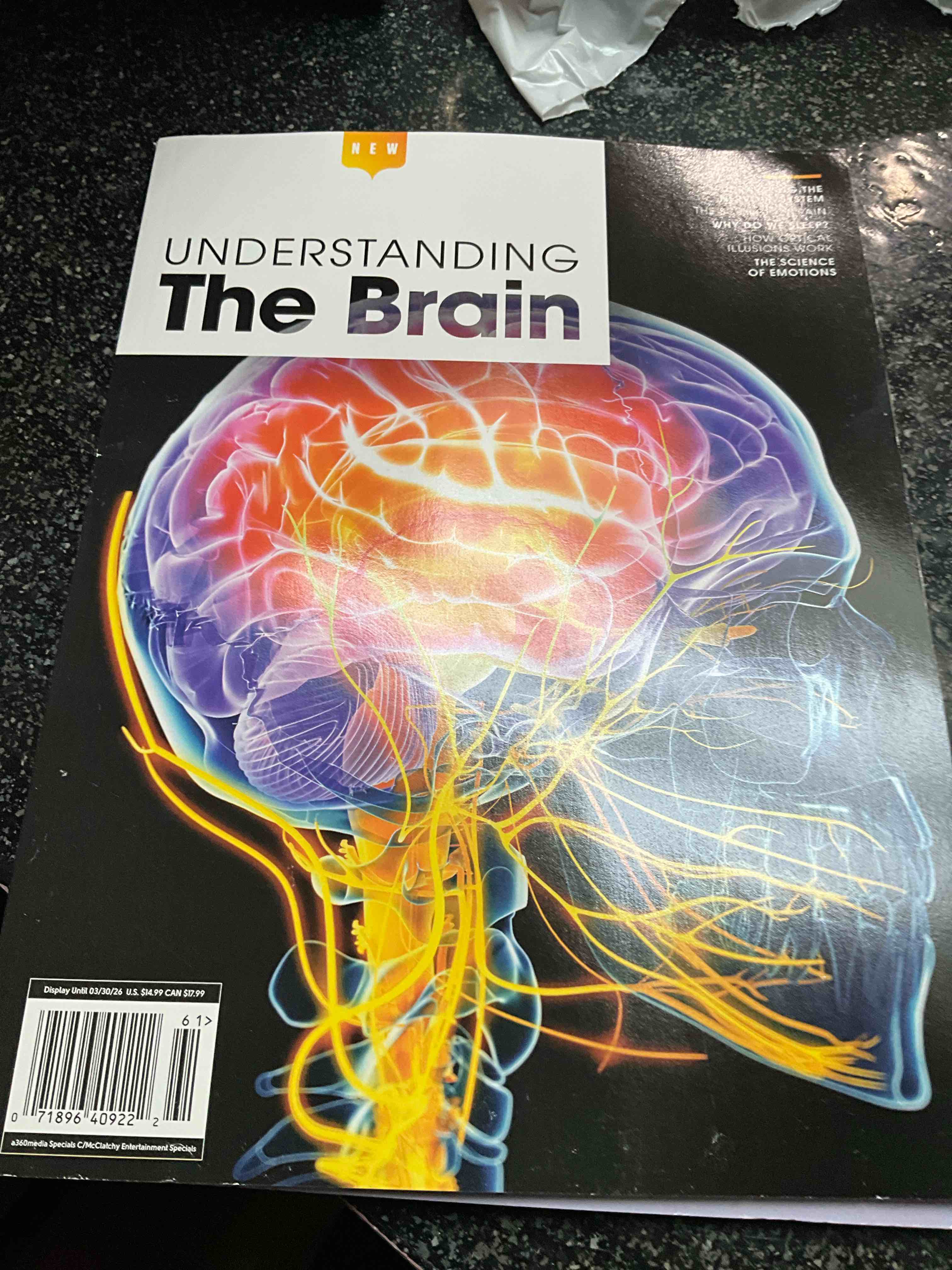 new - understanding the brain 