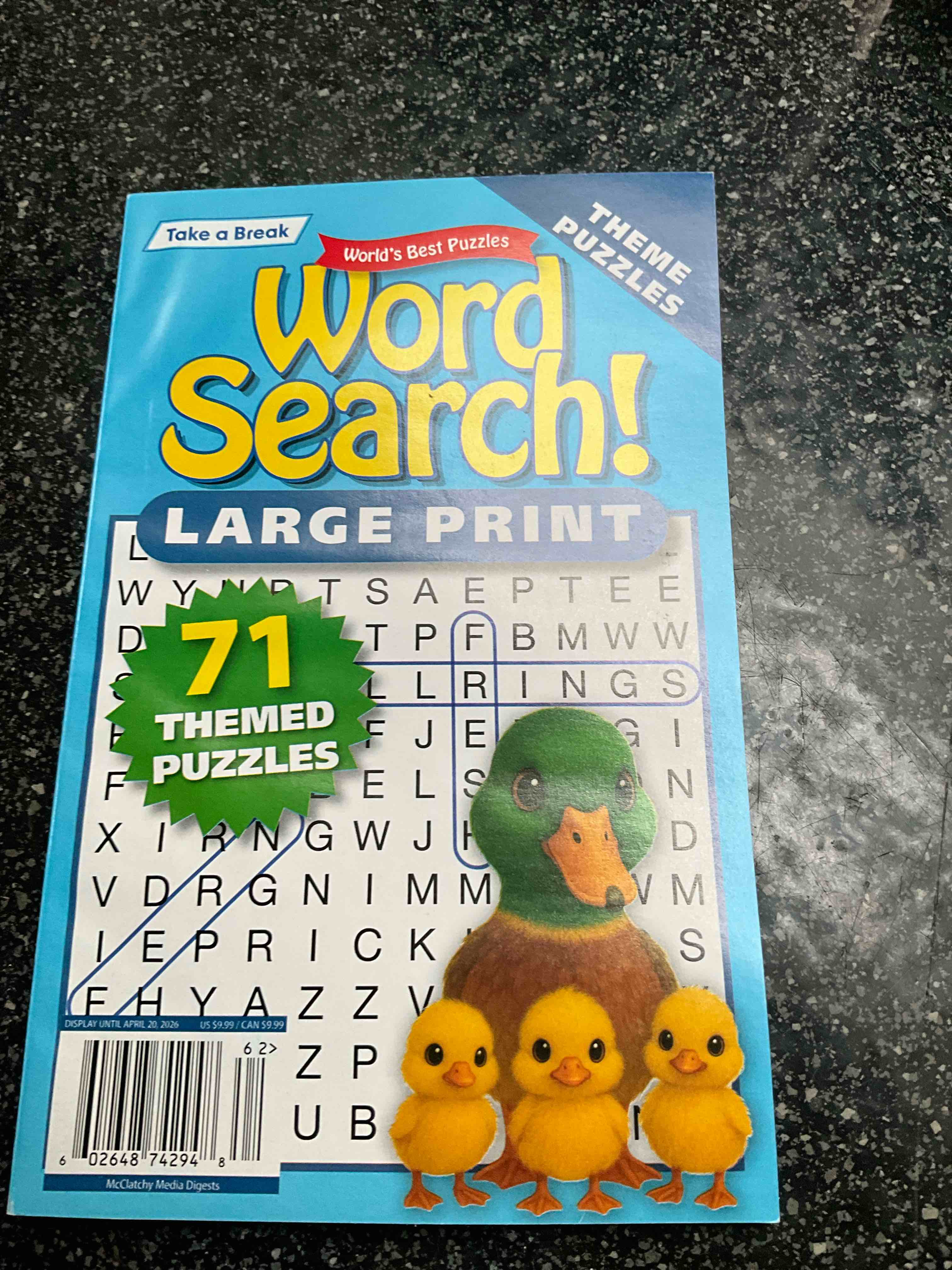 Take A Break - Theme Puzzles - Word Search - Large Print 