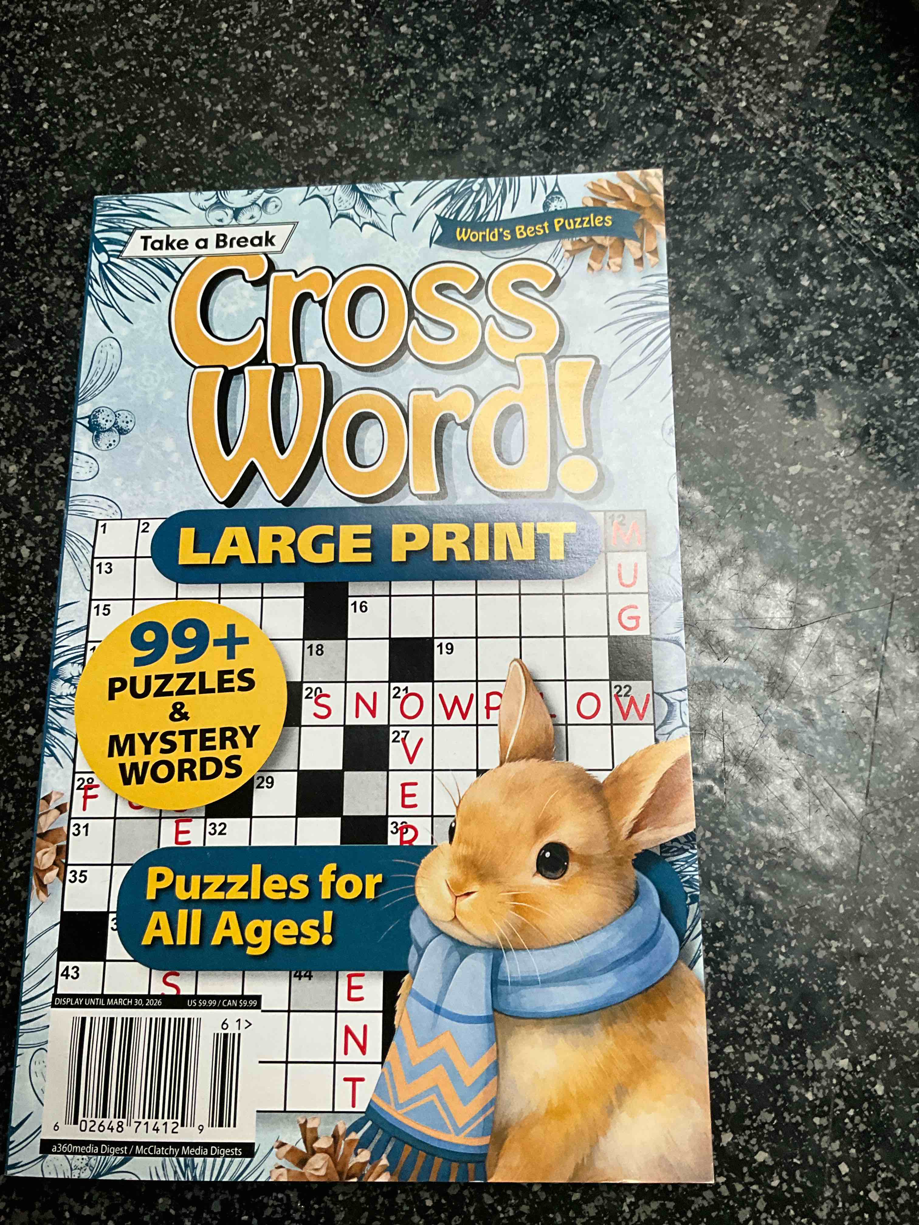 Take A Break - Cross Word - Large Print 